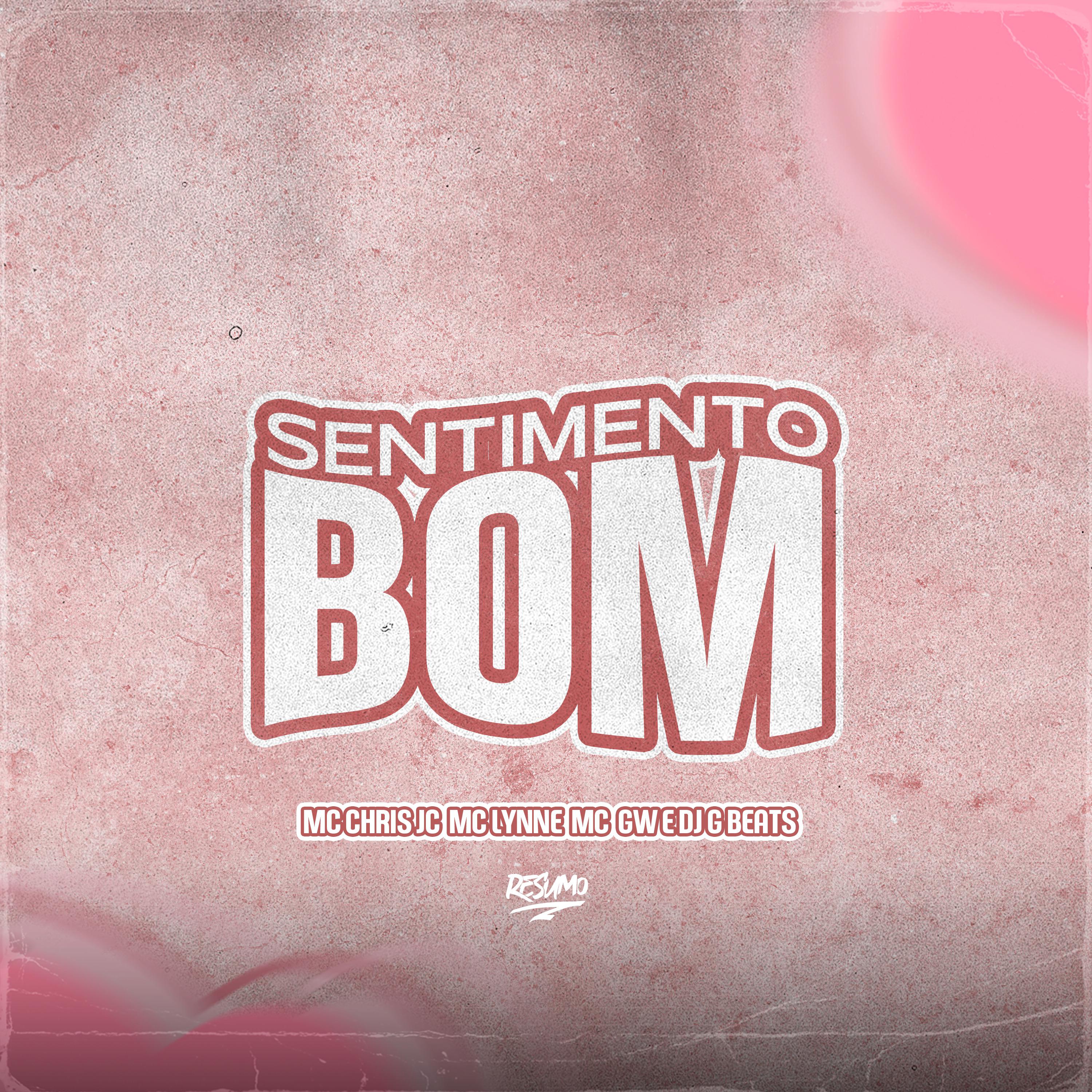 Постер альбома Sentimento Tão Bom