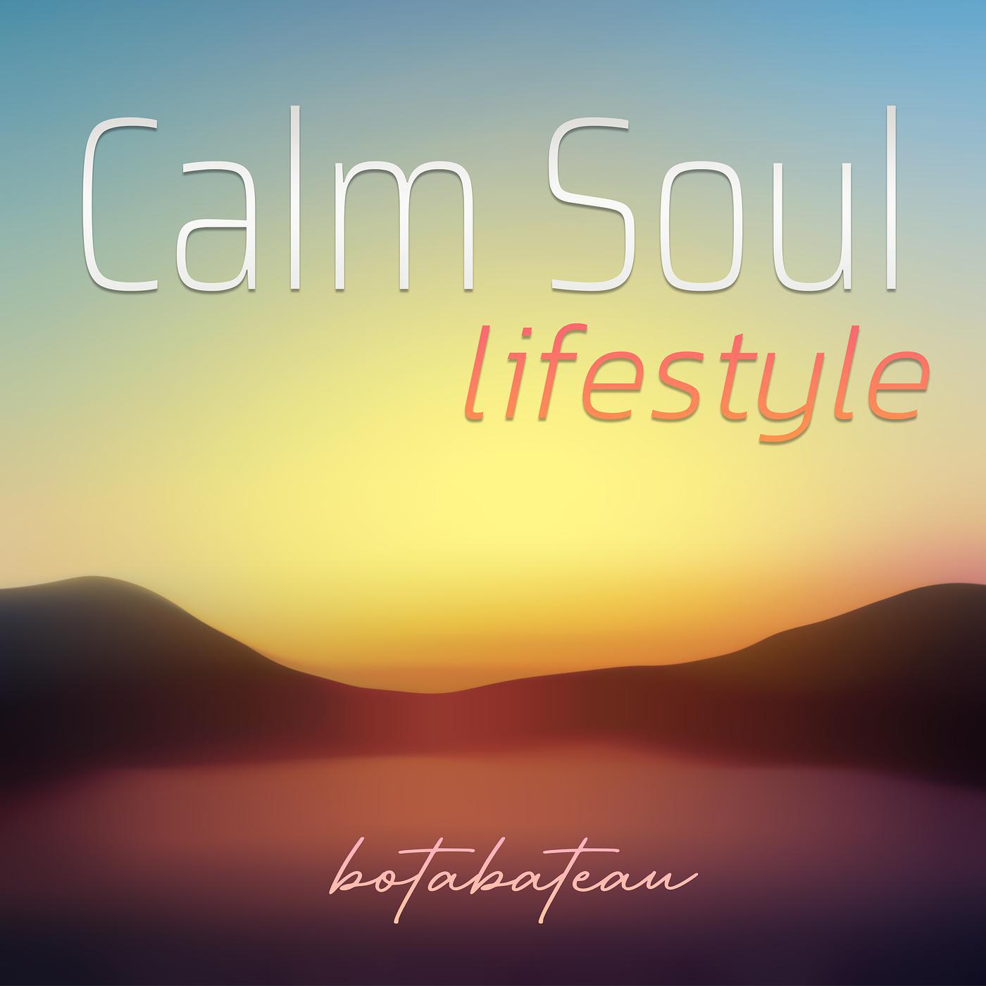 Постер альбома Calm Soul Lifestyle