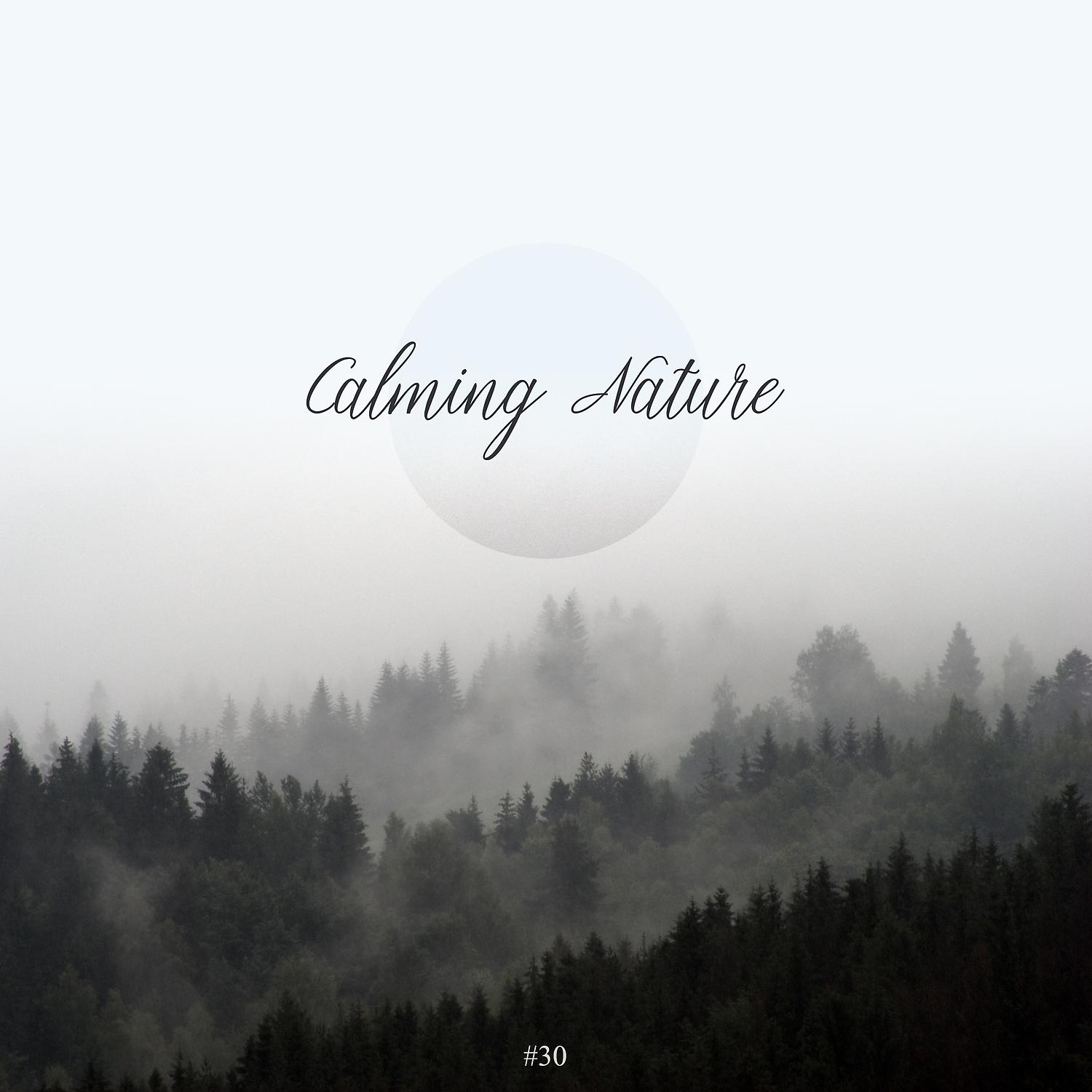 Постер альбома #30 Calming Nature
