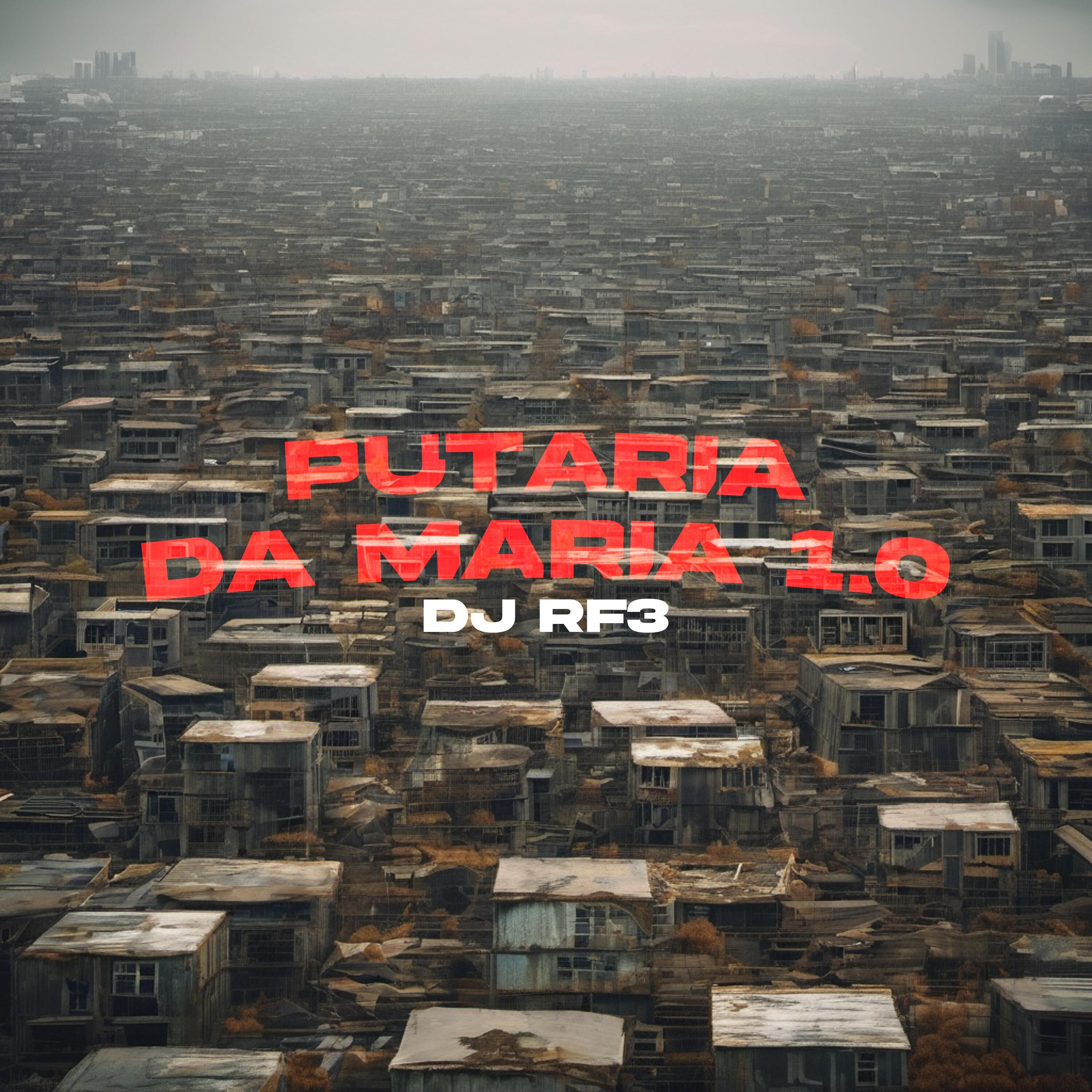Постер альбома Putaria da Maria 1.0