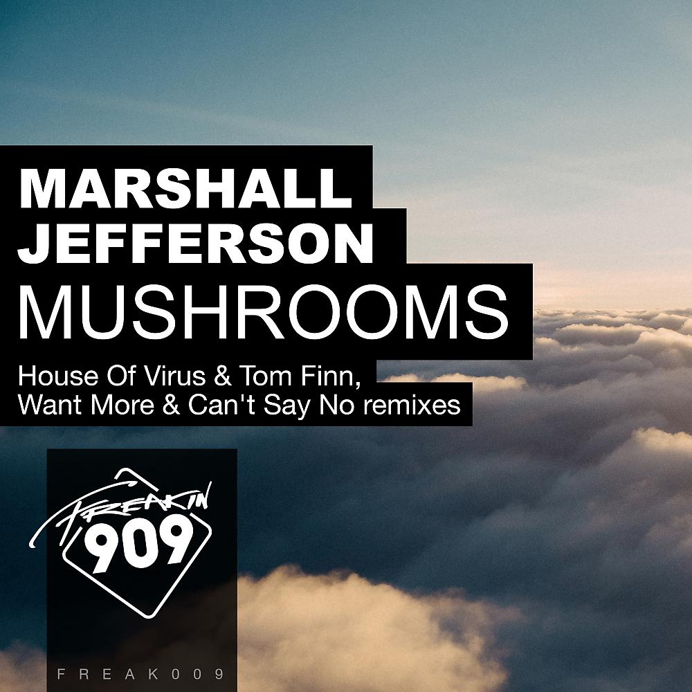 Постер альбома Mushrooms