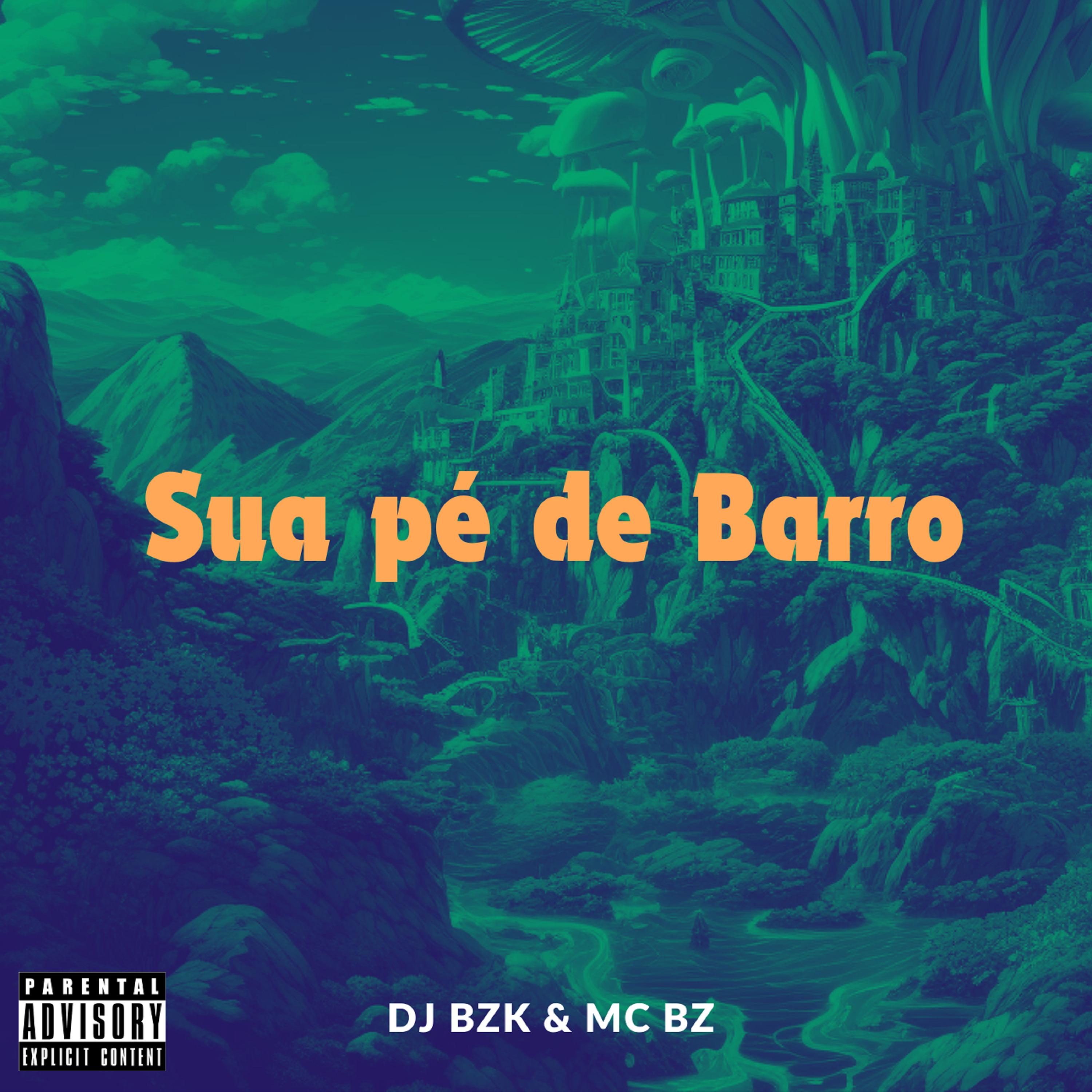 Постер альбома Sua Pé de Barro