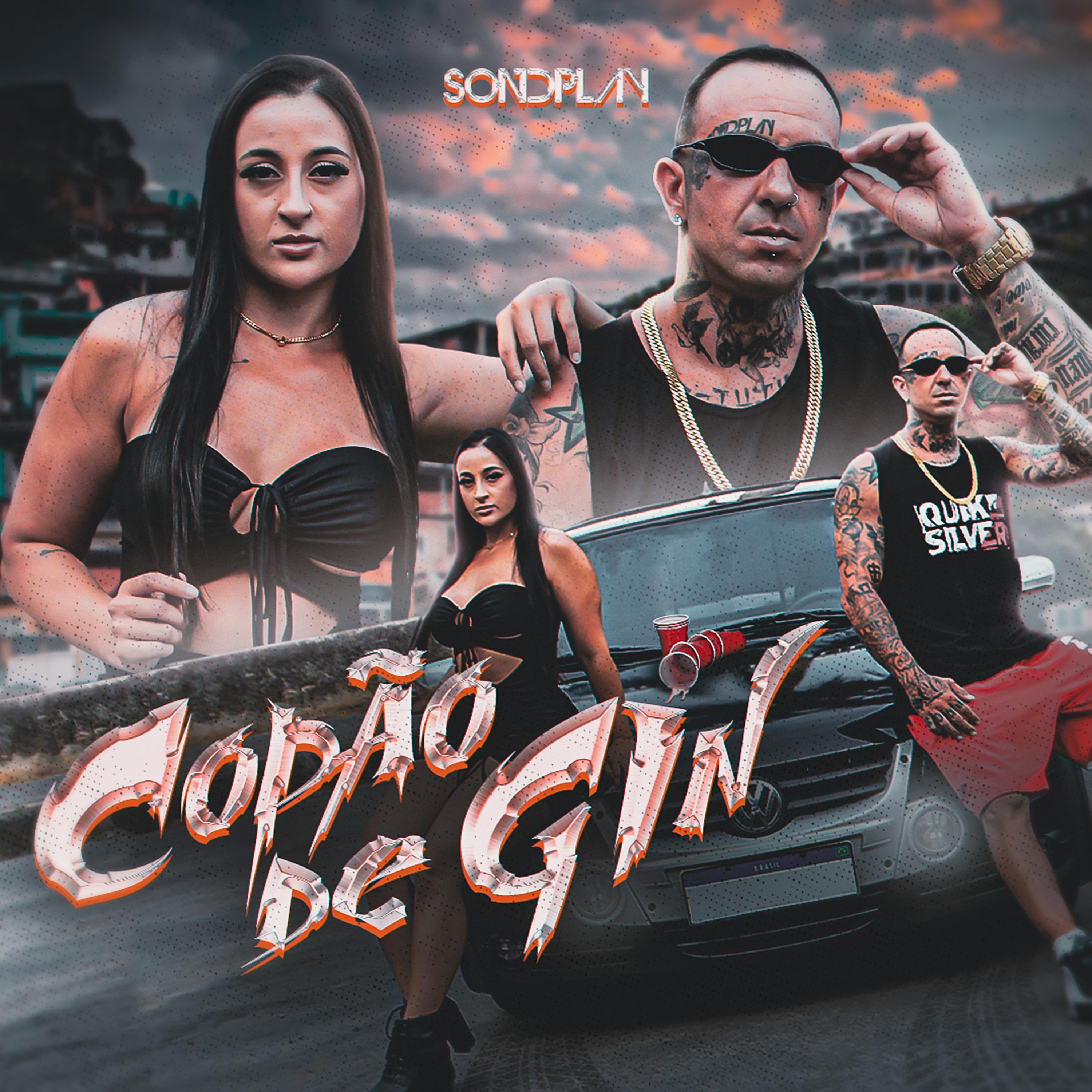 Постер альбома Copão de Gin