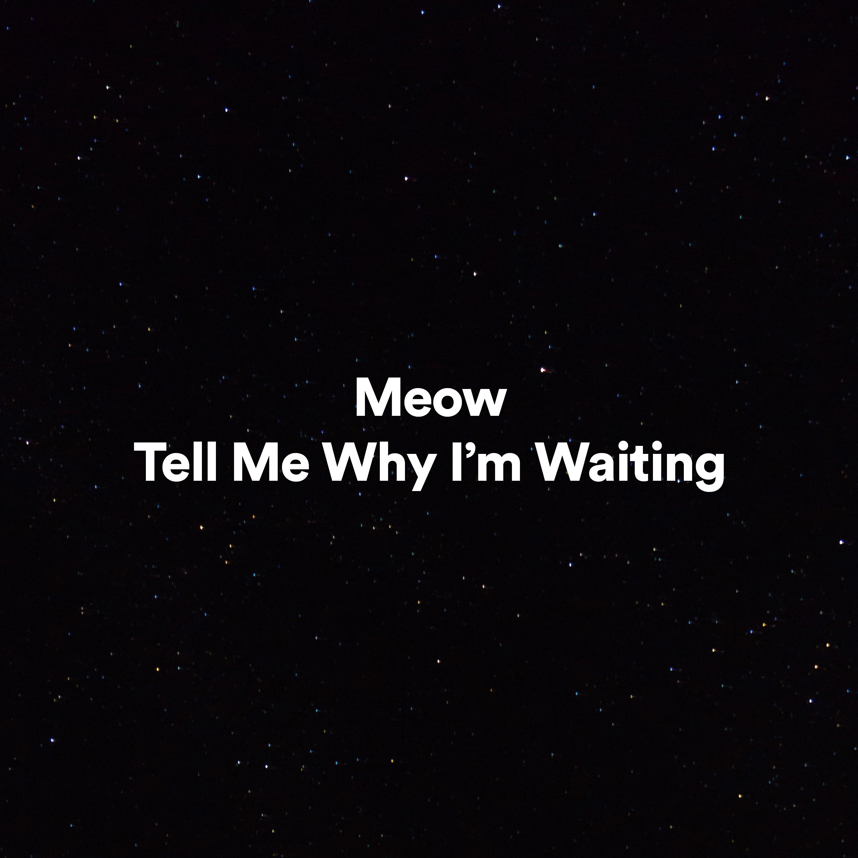Постер альбома Tell Me Why I'm Waiting