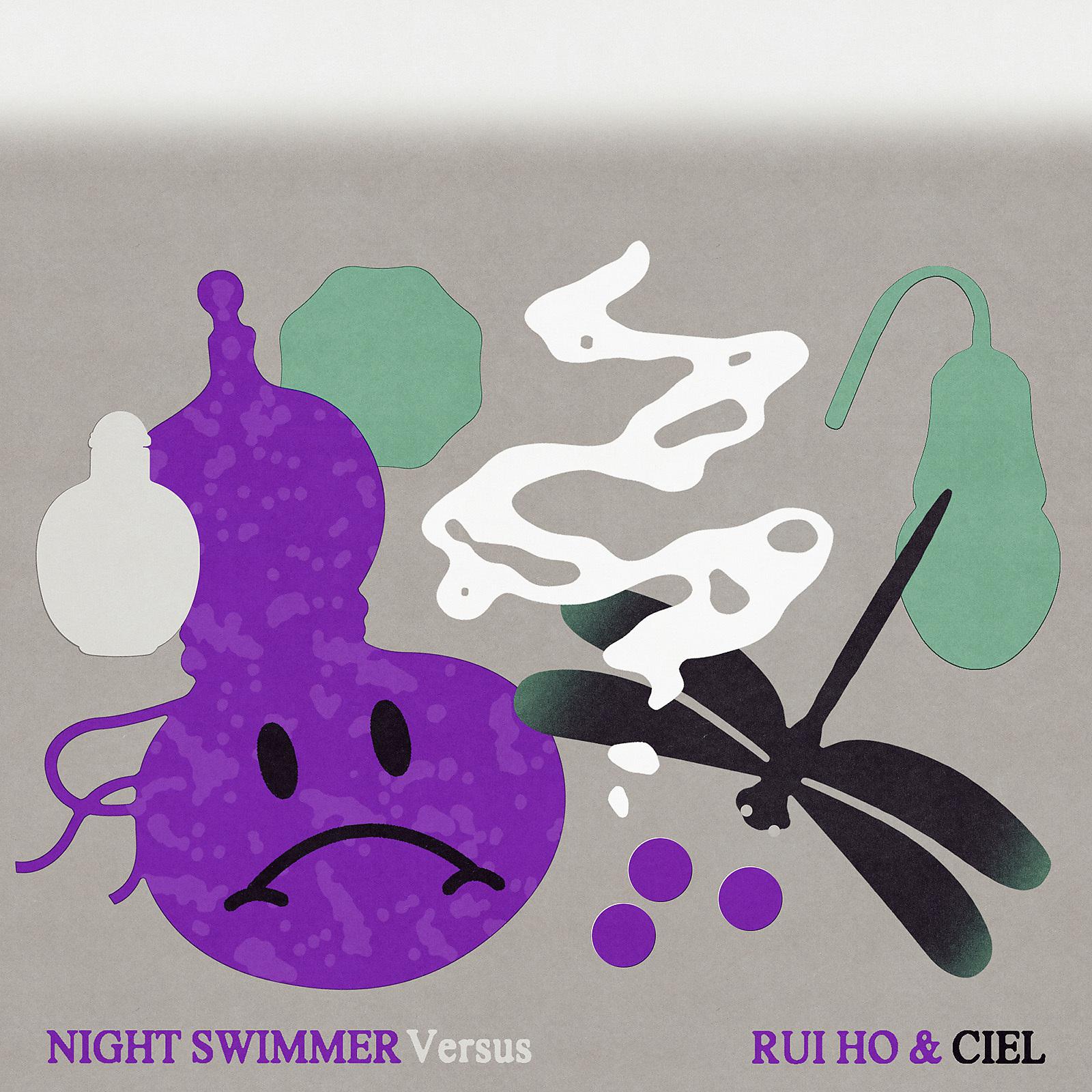 Постер альбома Versus RUI HO & Ciel