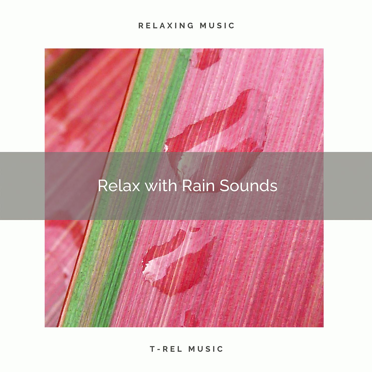 Постер альбома Relax with Rain Sounds