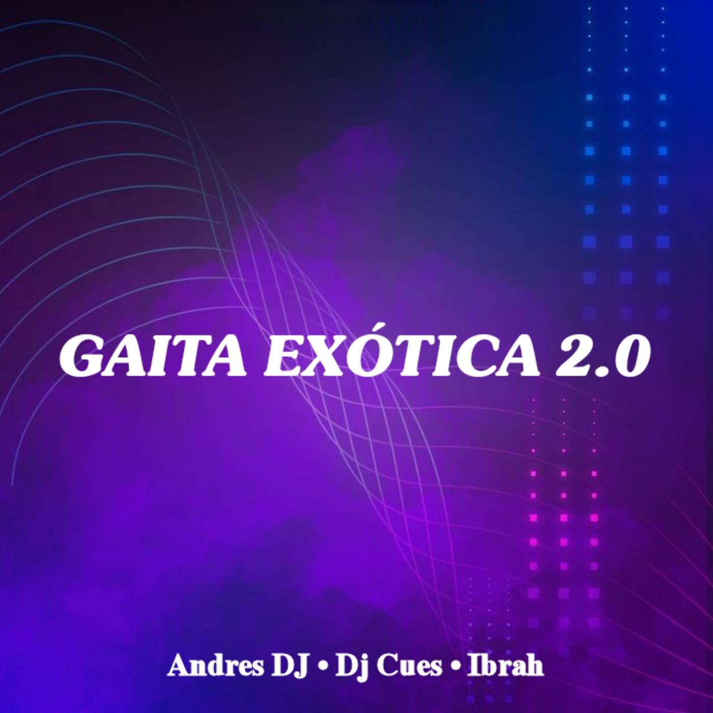 Постер альбома Gaita Exotica 2.0 (feat. Dj Cues, Ibrah)