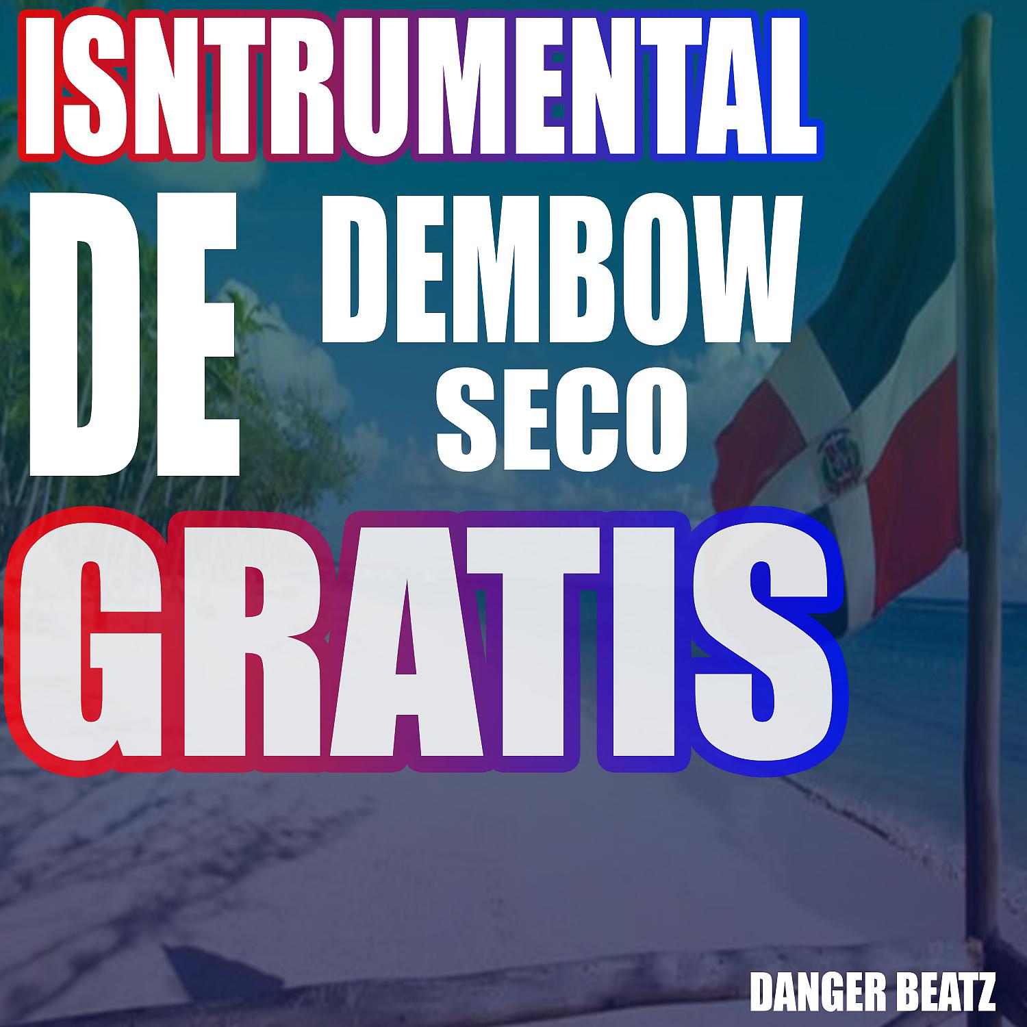 Постер альбома Instrumental De Dembow Seco Gratis
