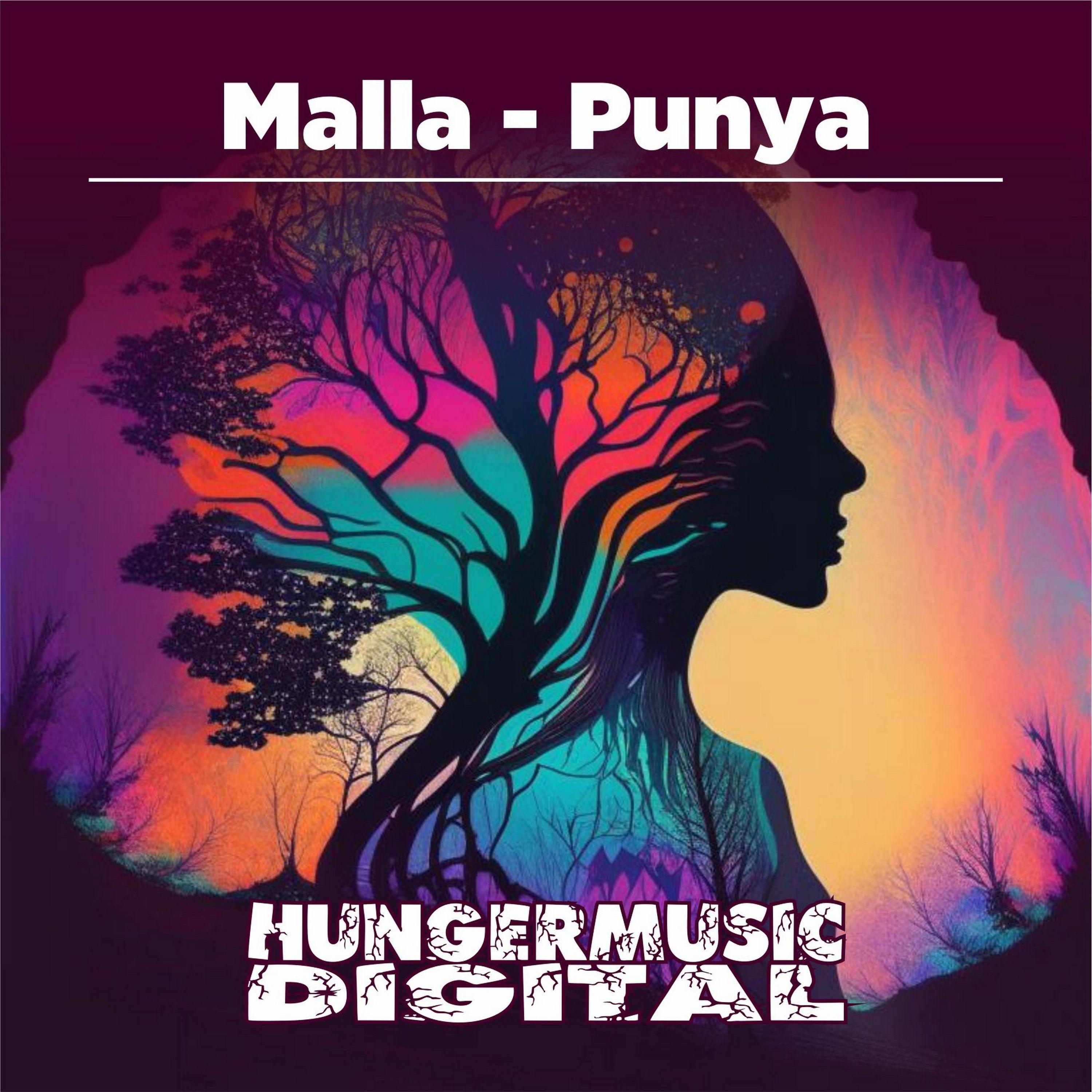 Постер альбома Punya
