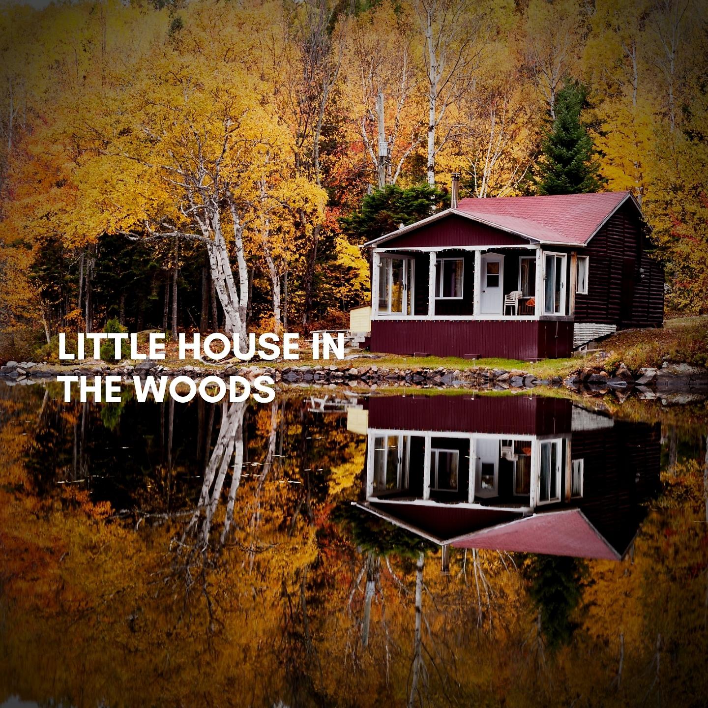 Постер альбома Little House in the Woods