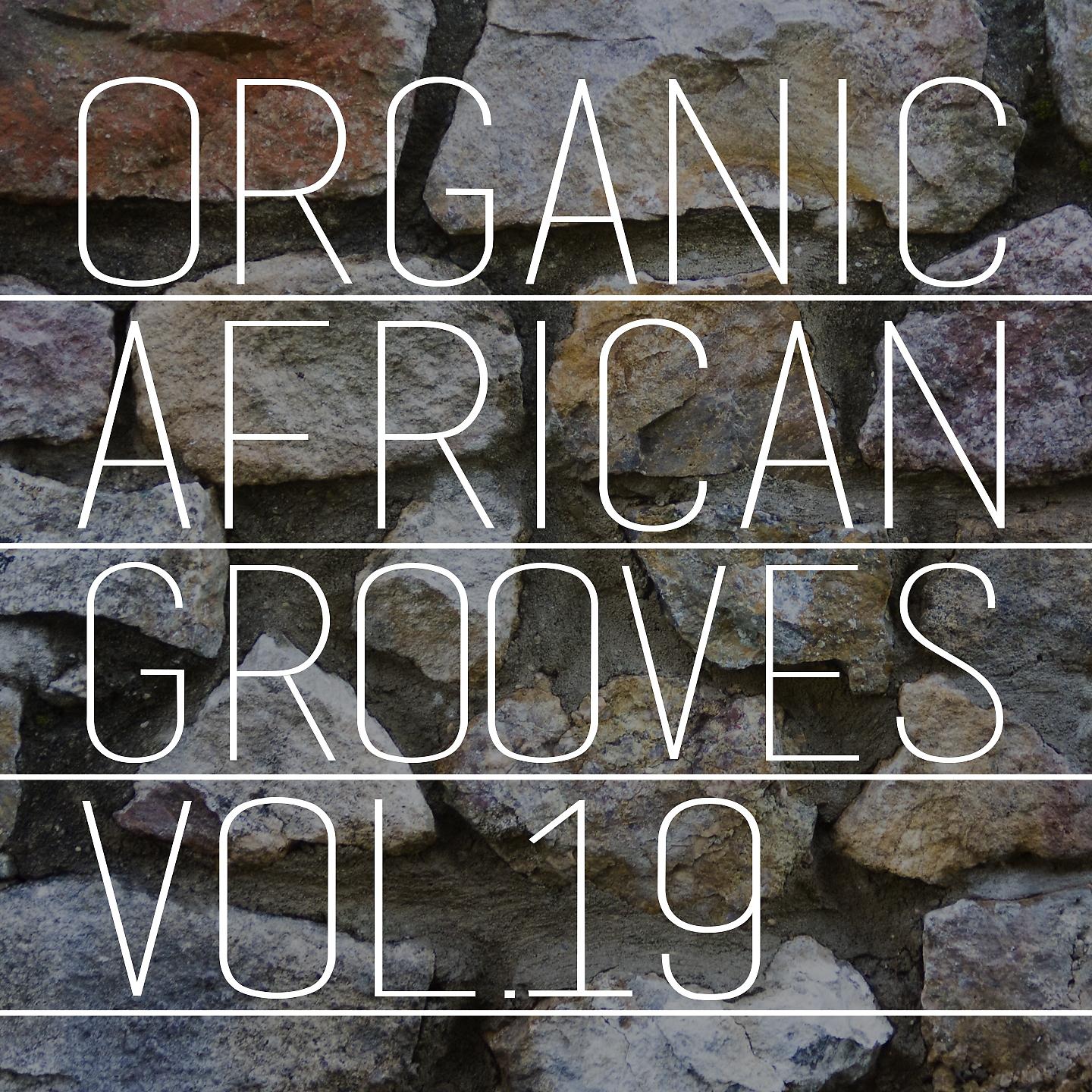 Постер альбома Organic African Grooves, Vol.19