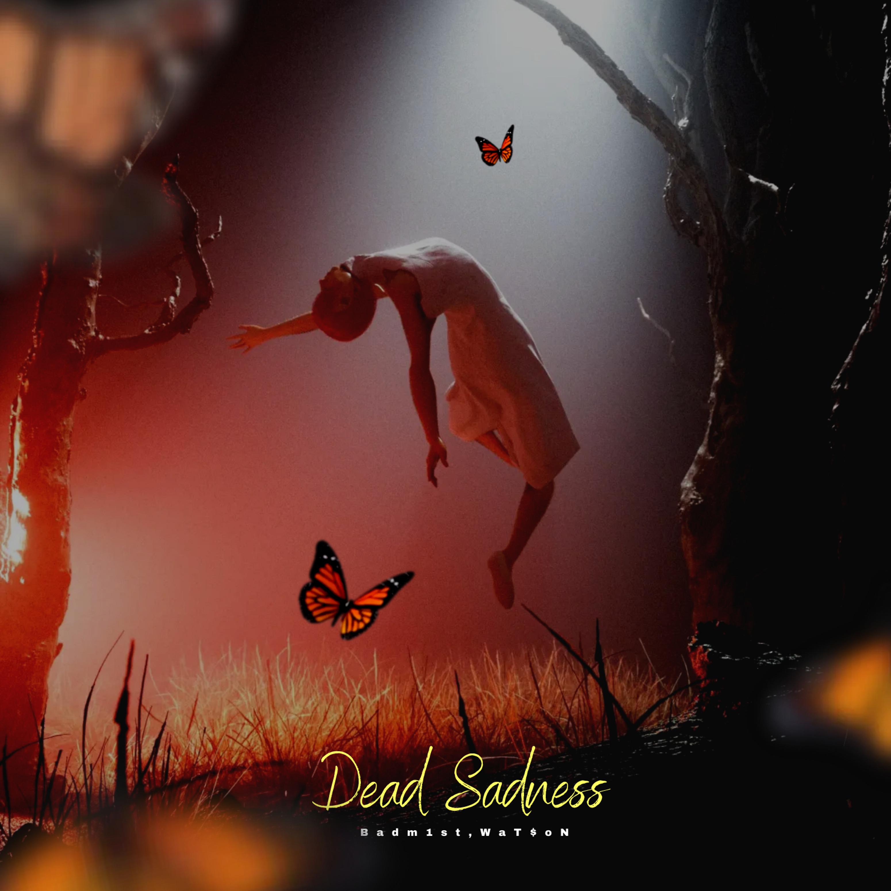 Постер альбома Dead Sadness