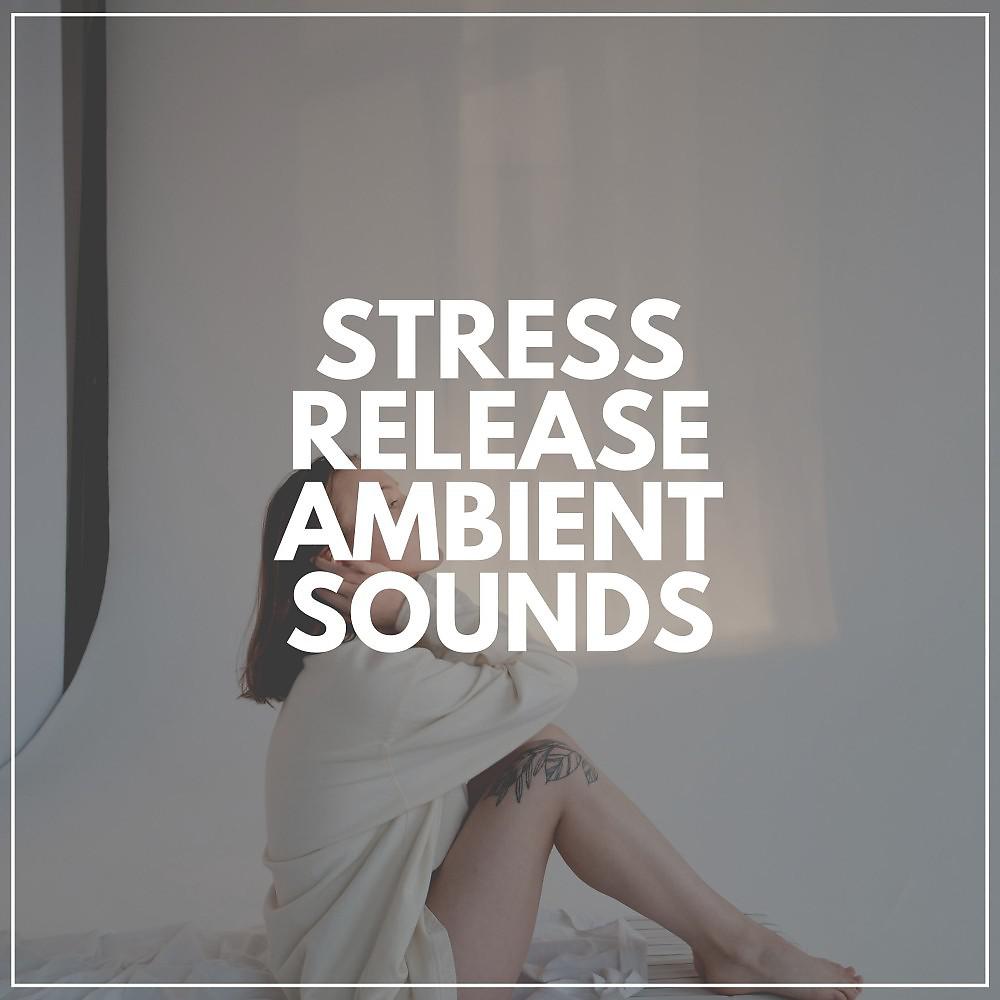 Постер альбома Stress Release Ambient Sounds