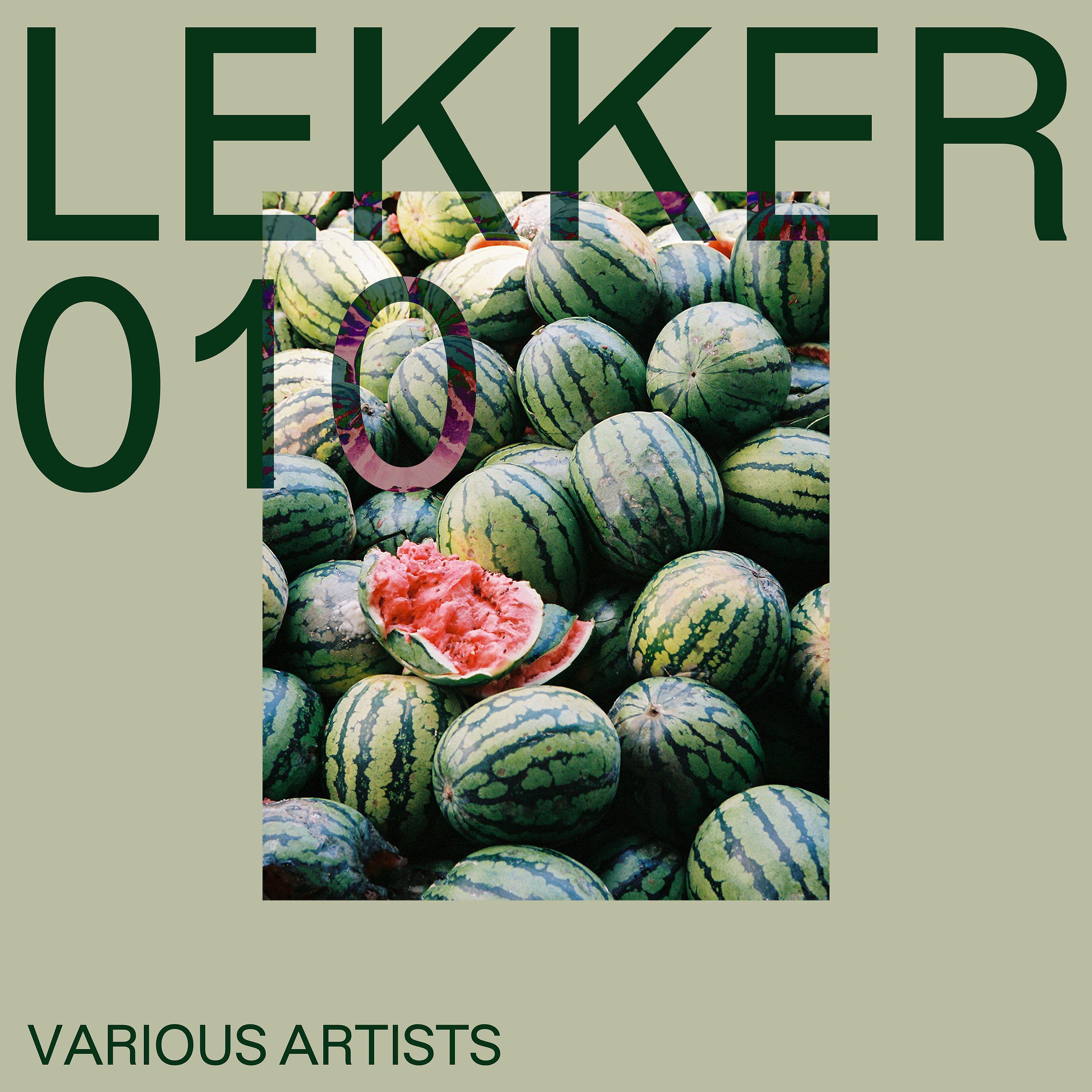 Постер альбома Lekker 010