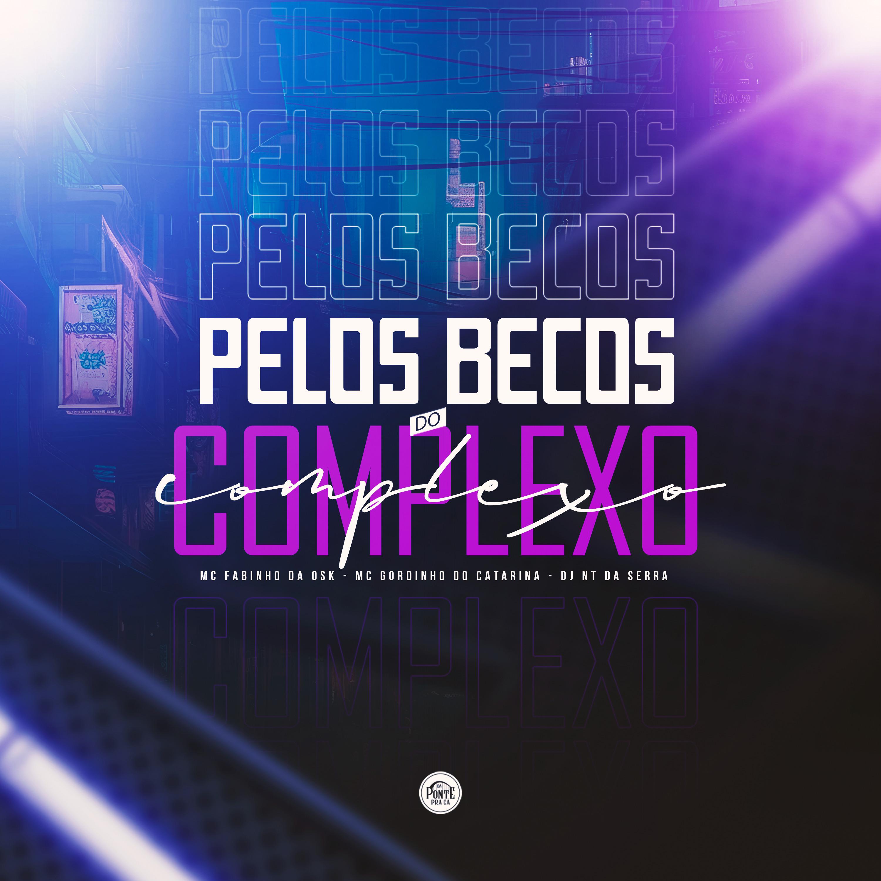 Постер альбома Pelos Becos do Complexo
