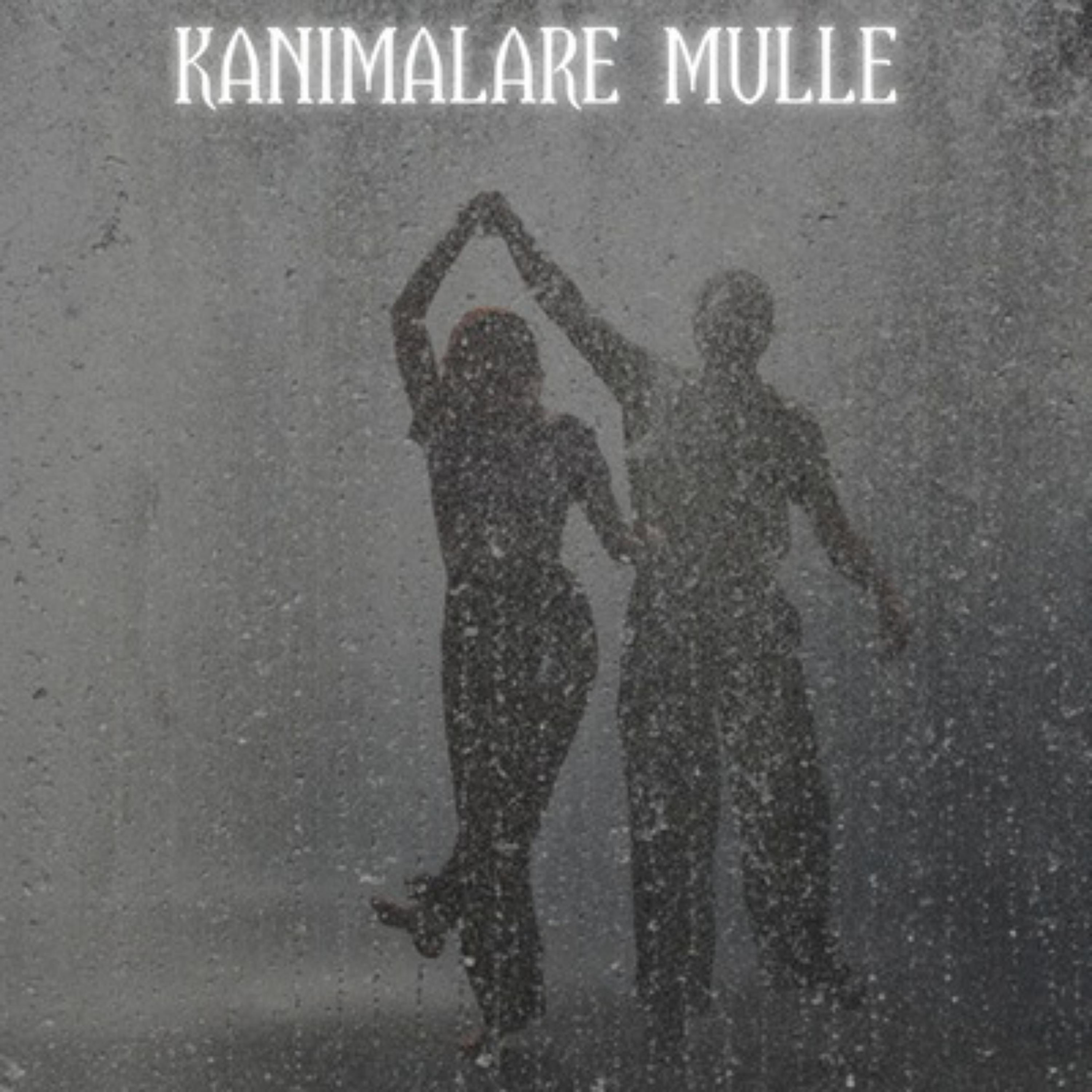 Постер альбома Kanimalare Mulle