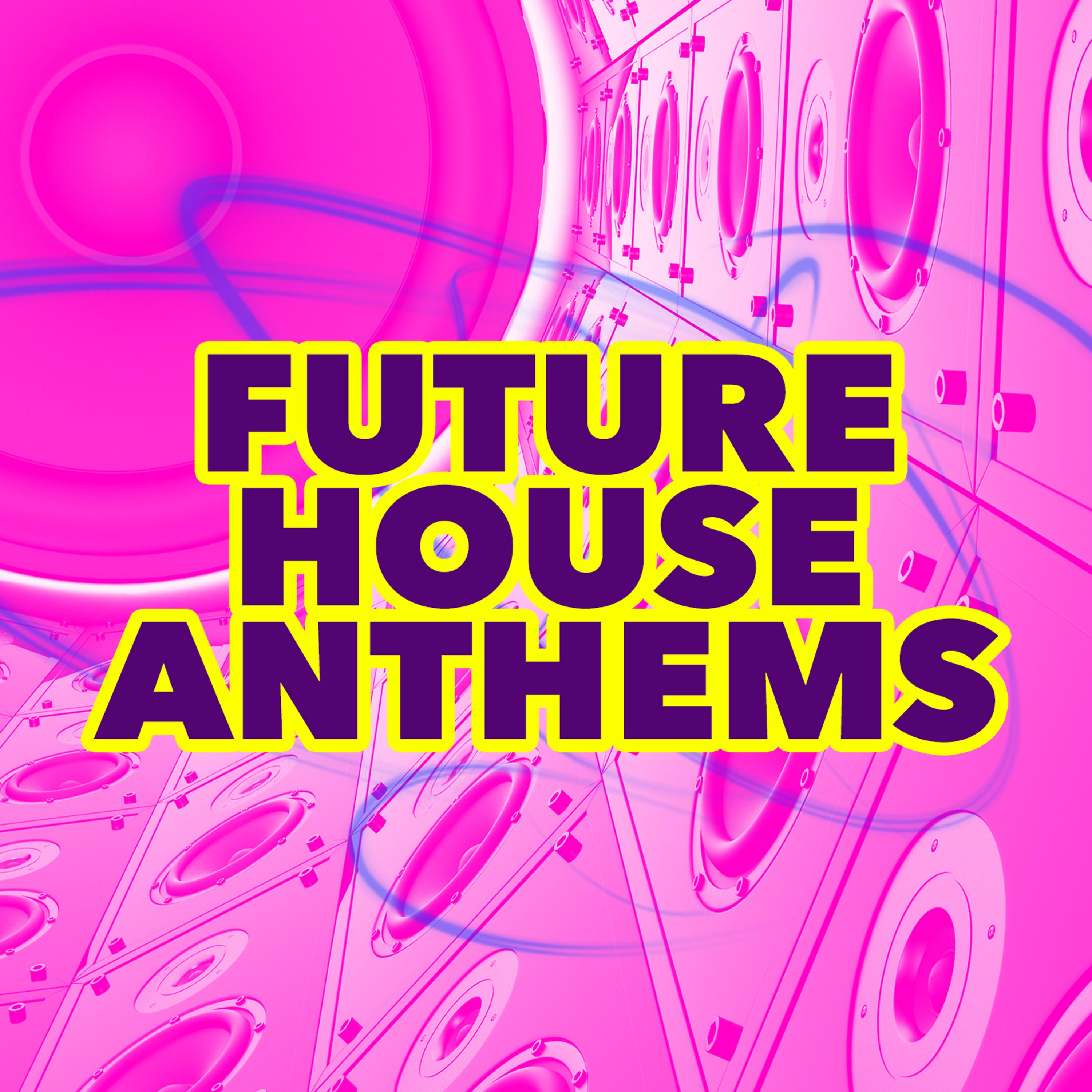 Постер альбома Future House Anthems