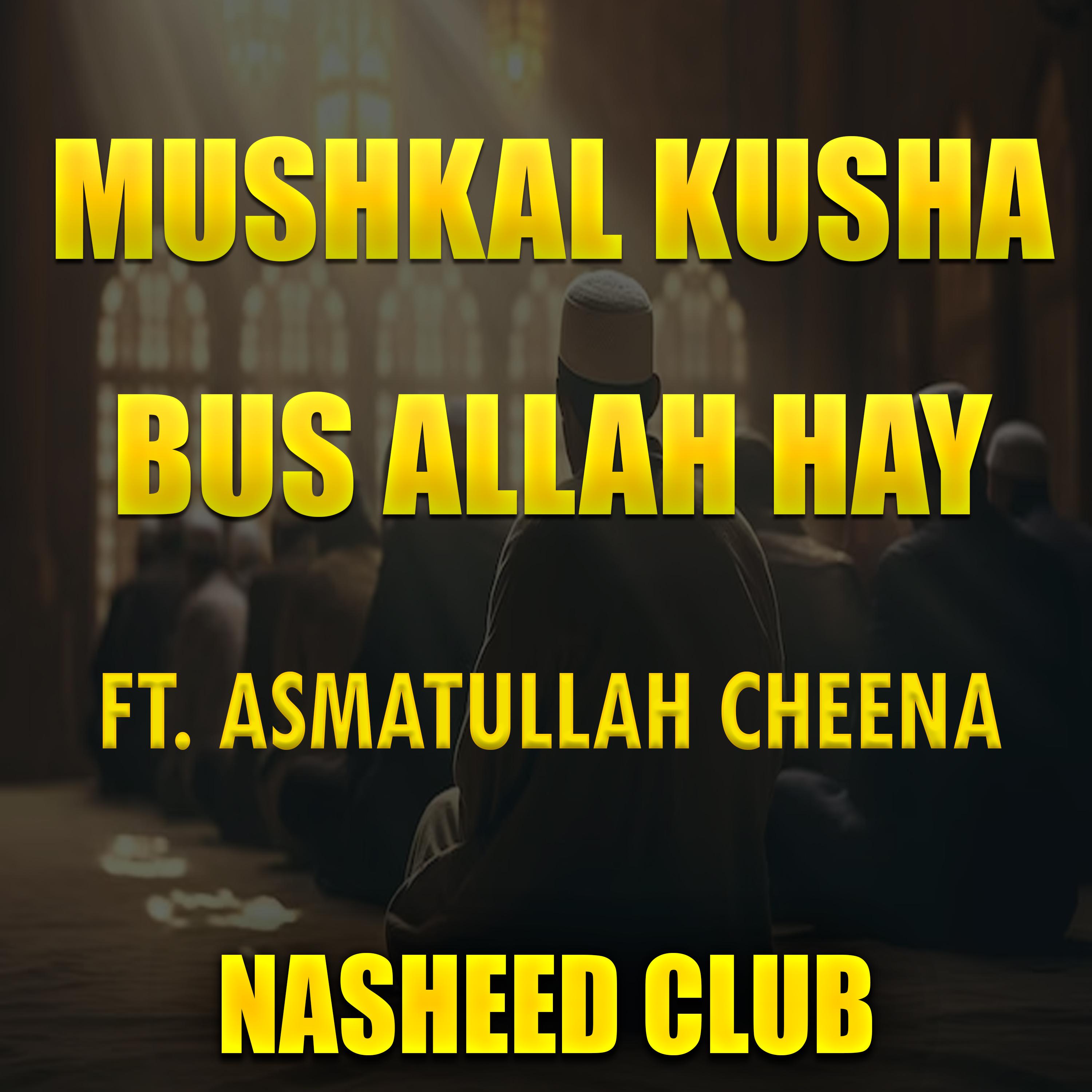 Постер альбома Mushkal Kusha Bus Allah Hay
