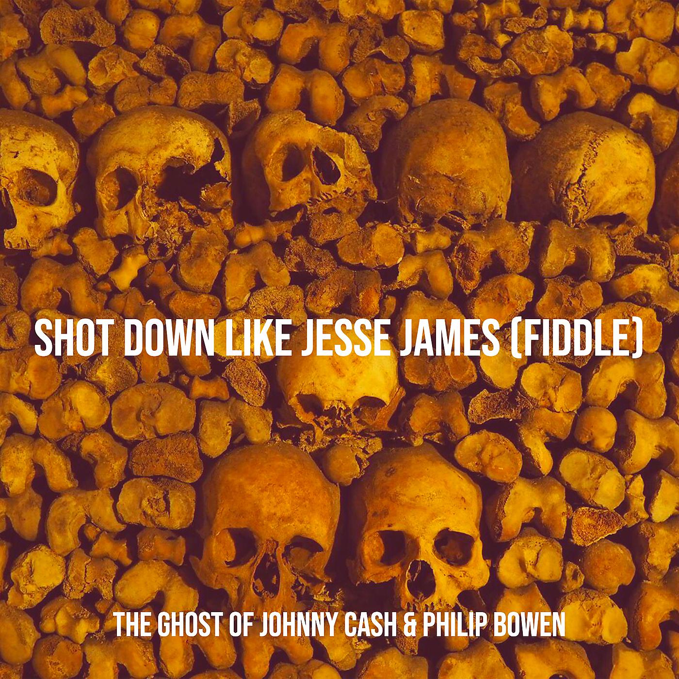 Постер альбома Shot Down Like Jesse James (Fiddle)