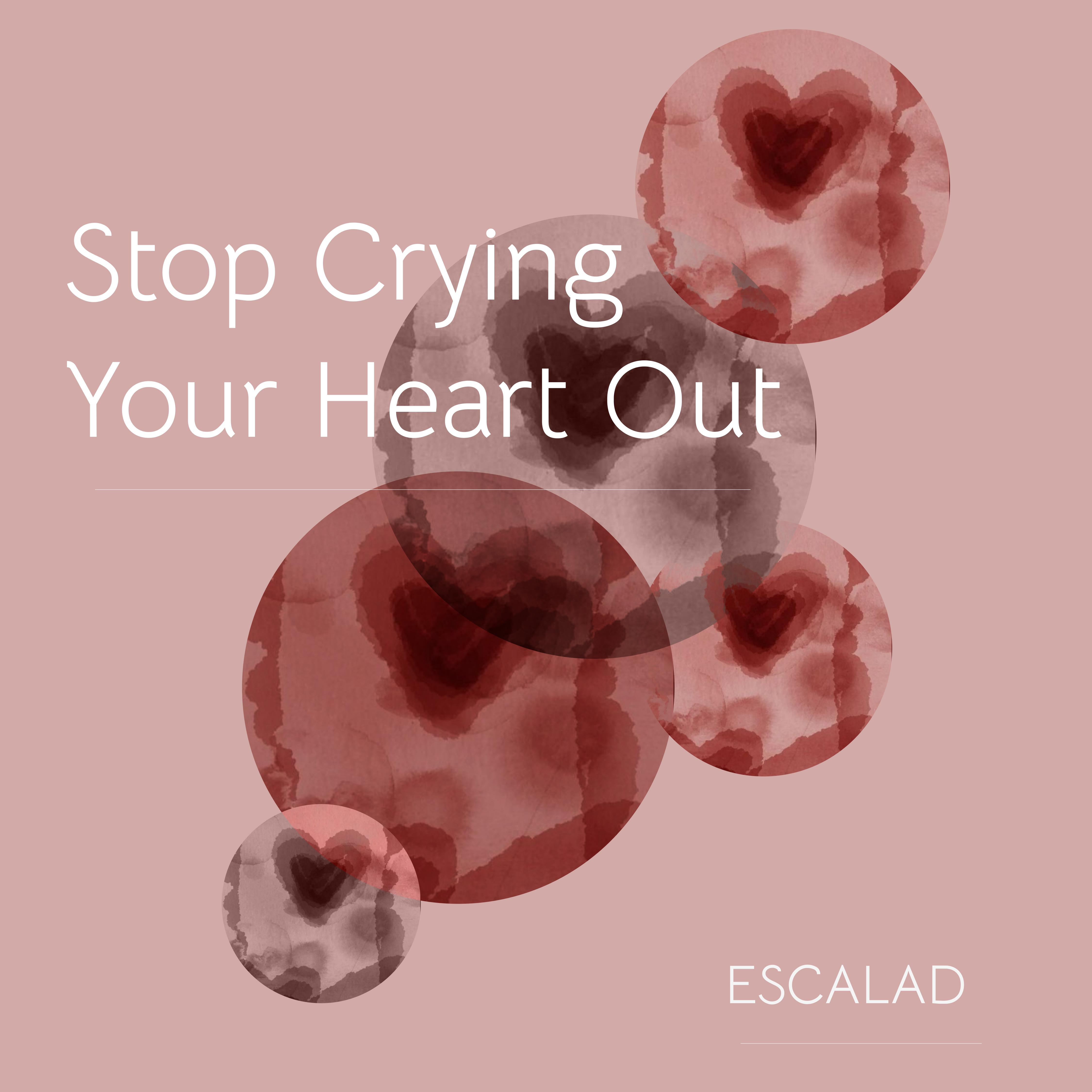 Постер альбома Stop Crying Your Heart Out