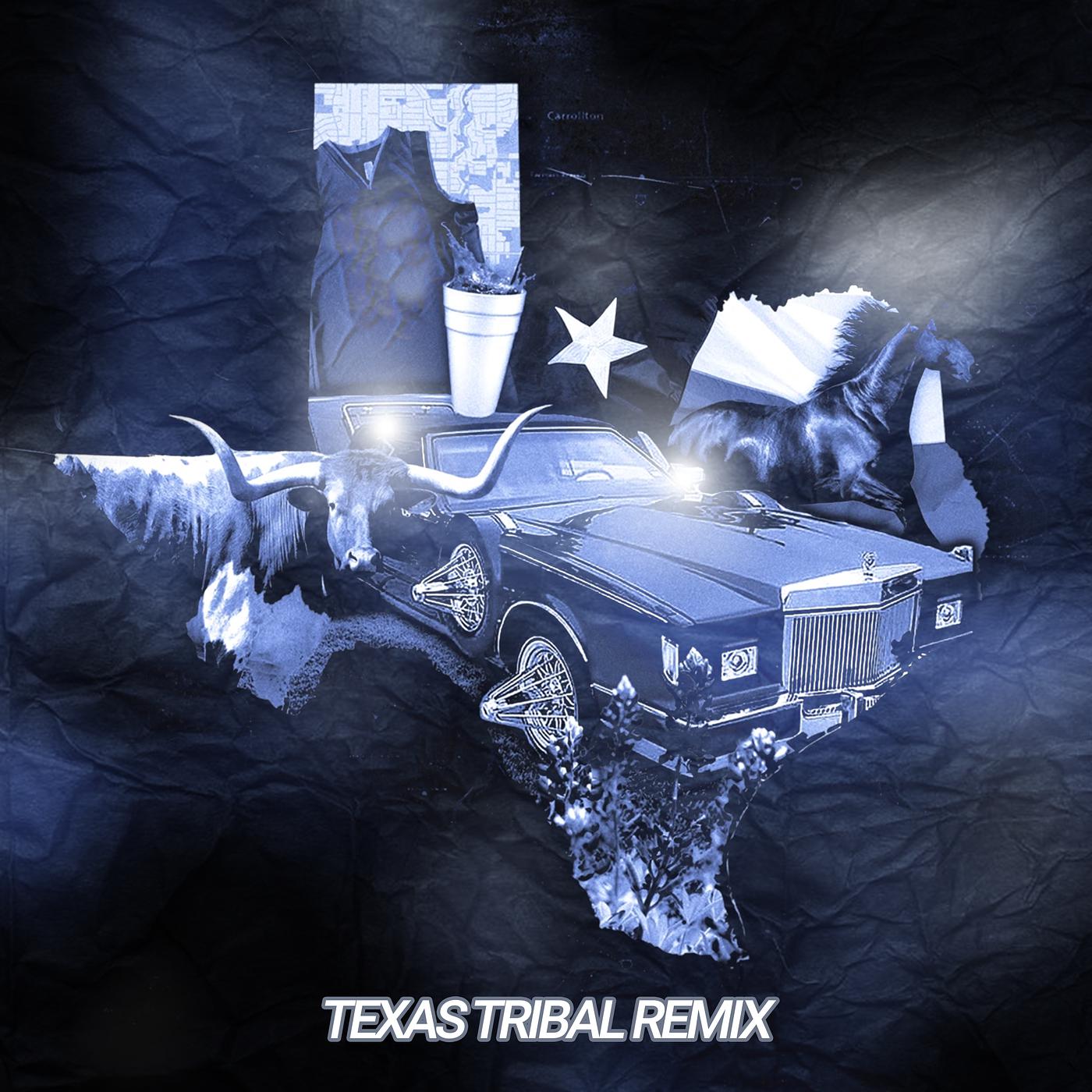 Постер альбома Texas Tribal Mix