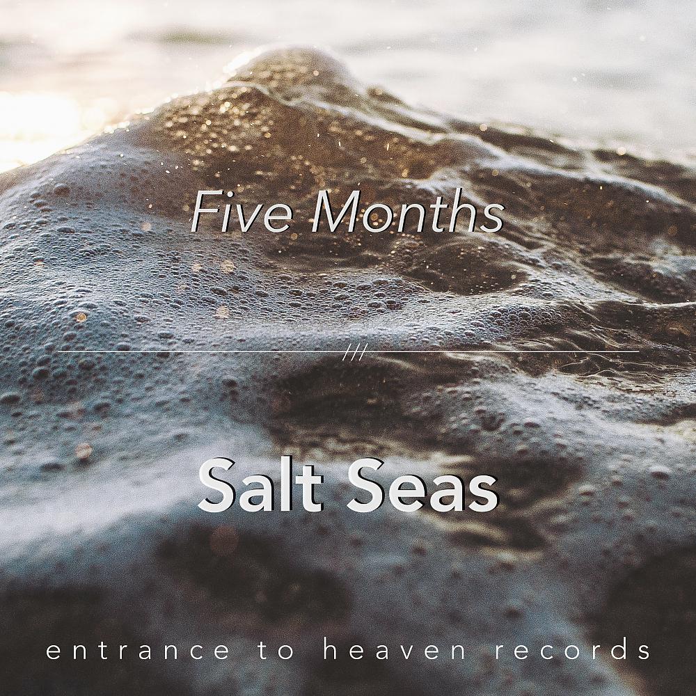 Постер альбома Salt Seas