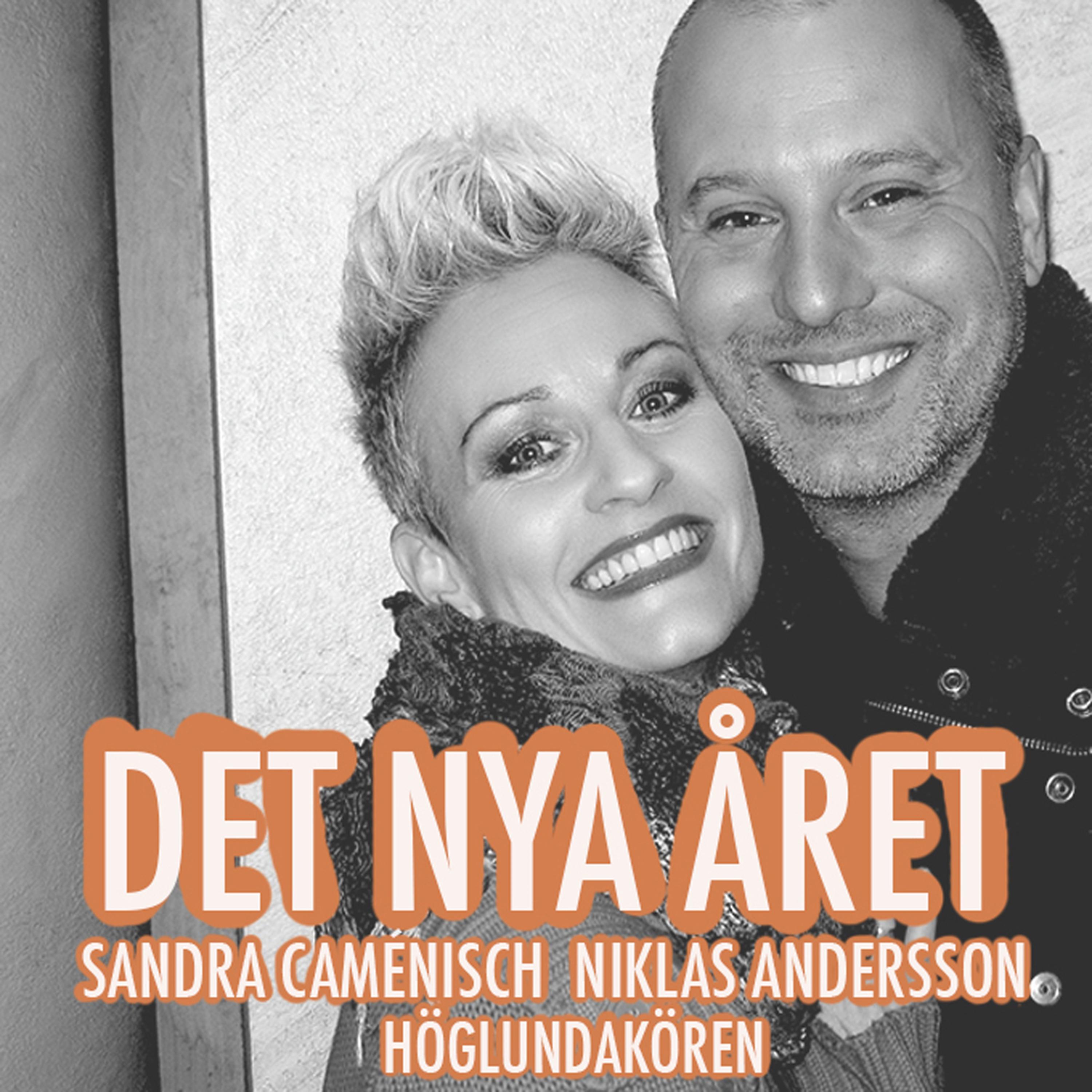 Постер альбома Det Nya Året