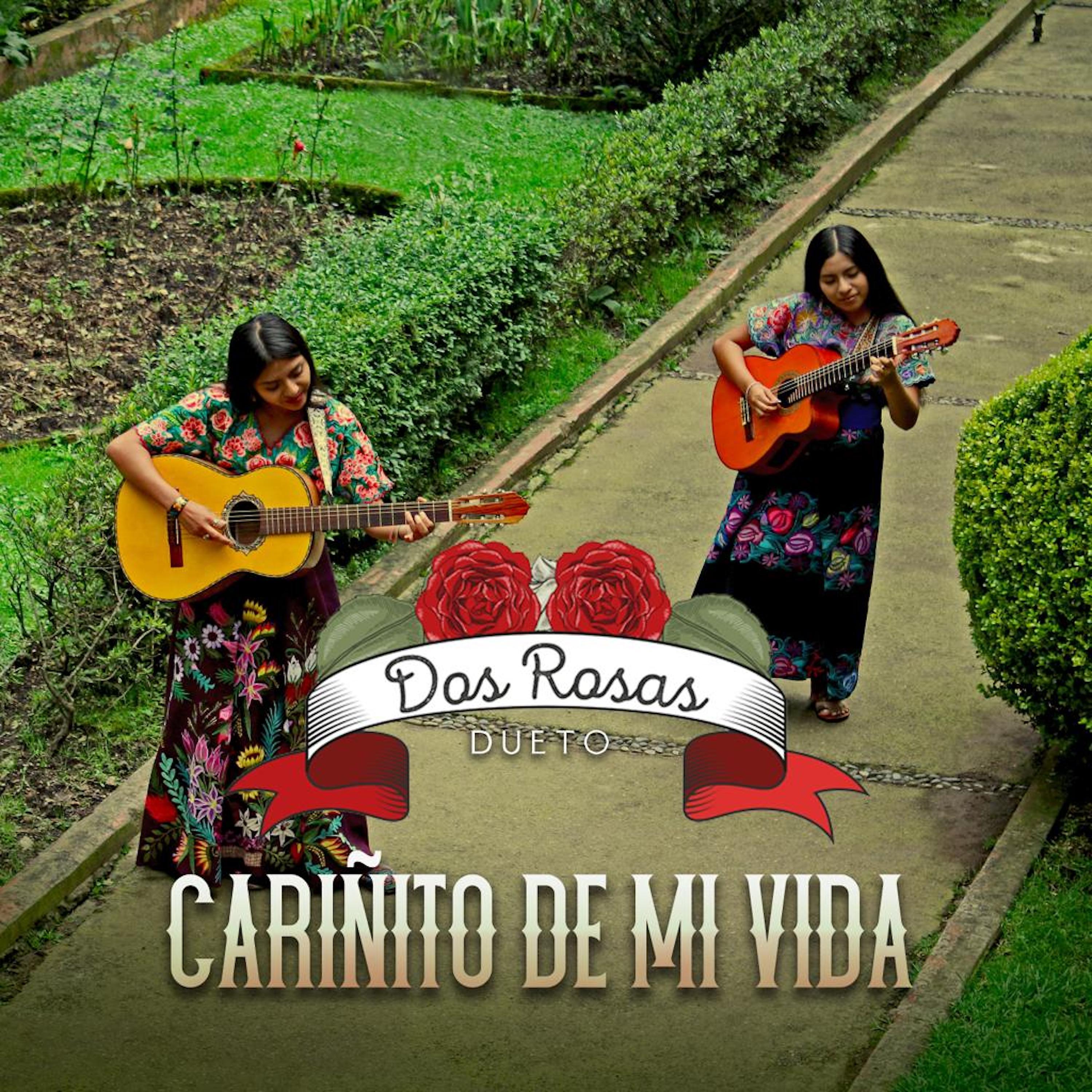 Постер альбома Cariñito de Mi Vida