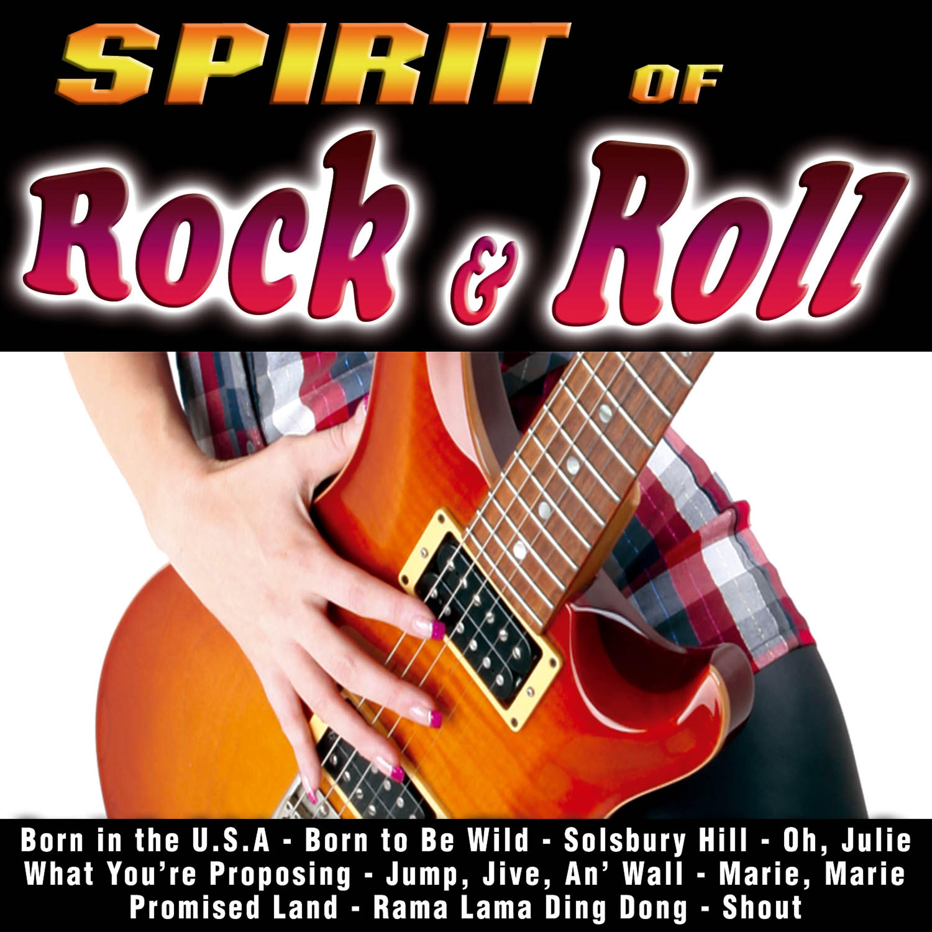 Постер альбома Spirit of Rock & Roll