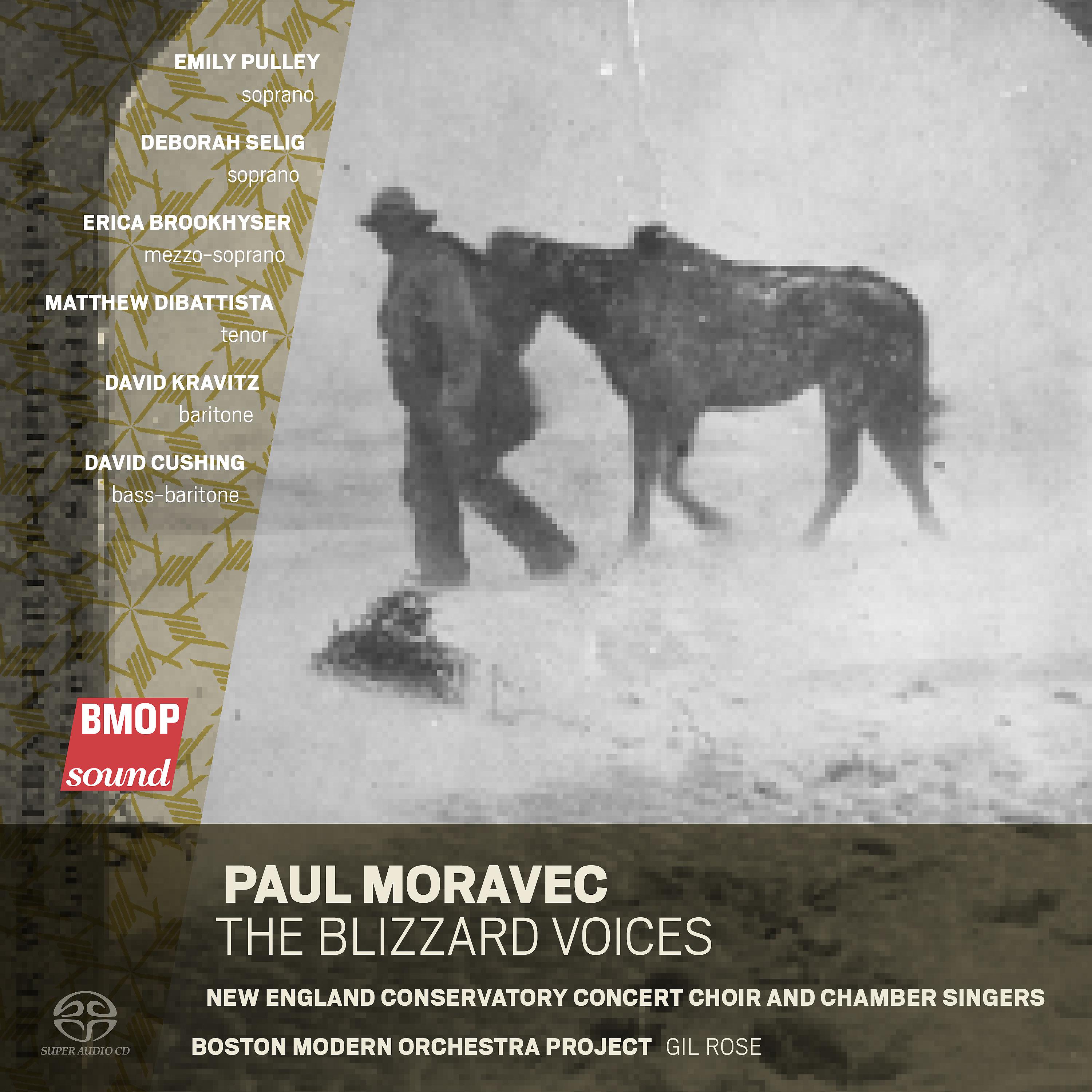 Постер альбома Paul Moravec: The Blizzard Voices