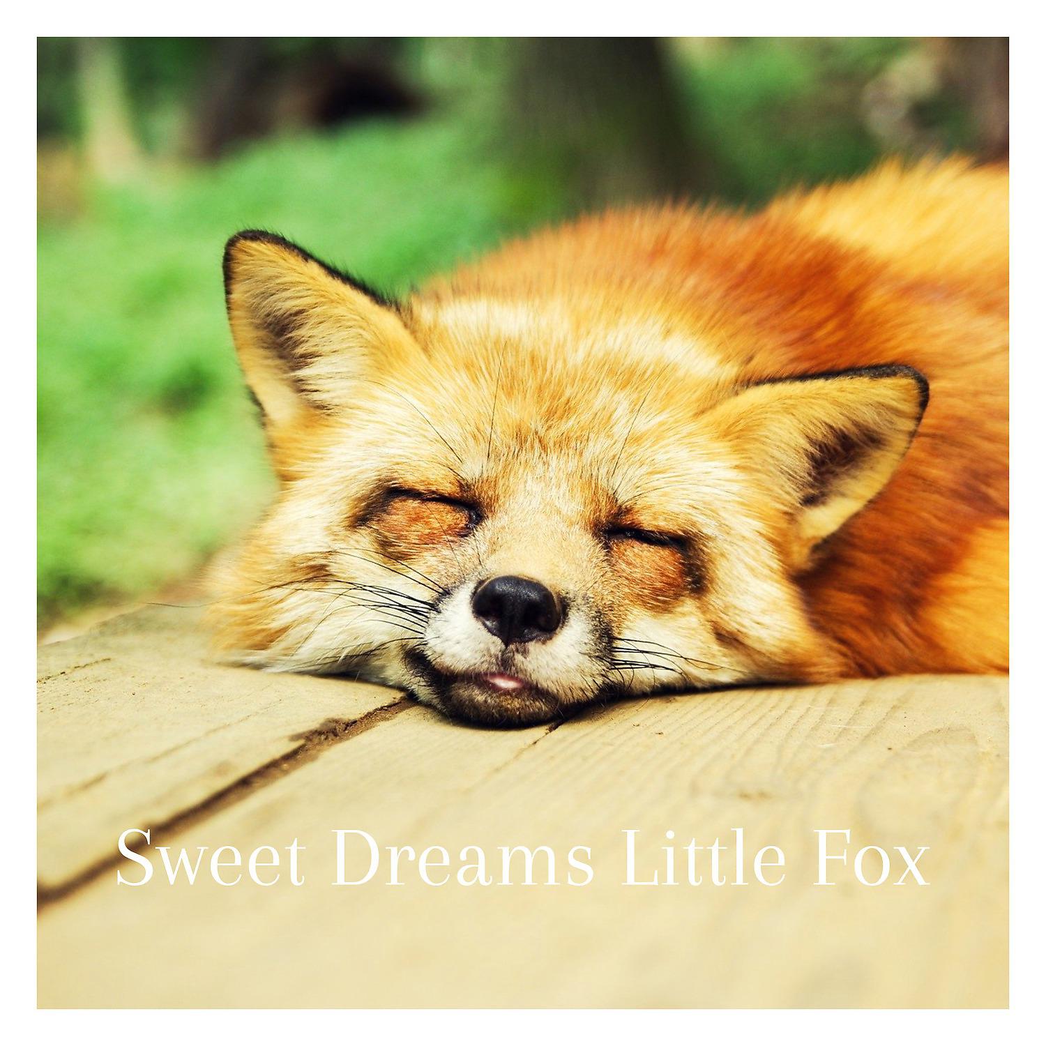 Постер альбома Sweet Dreams LIttle Fox