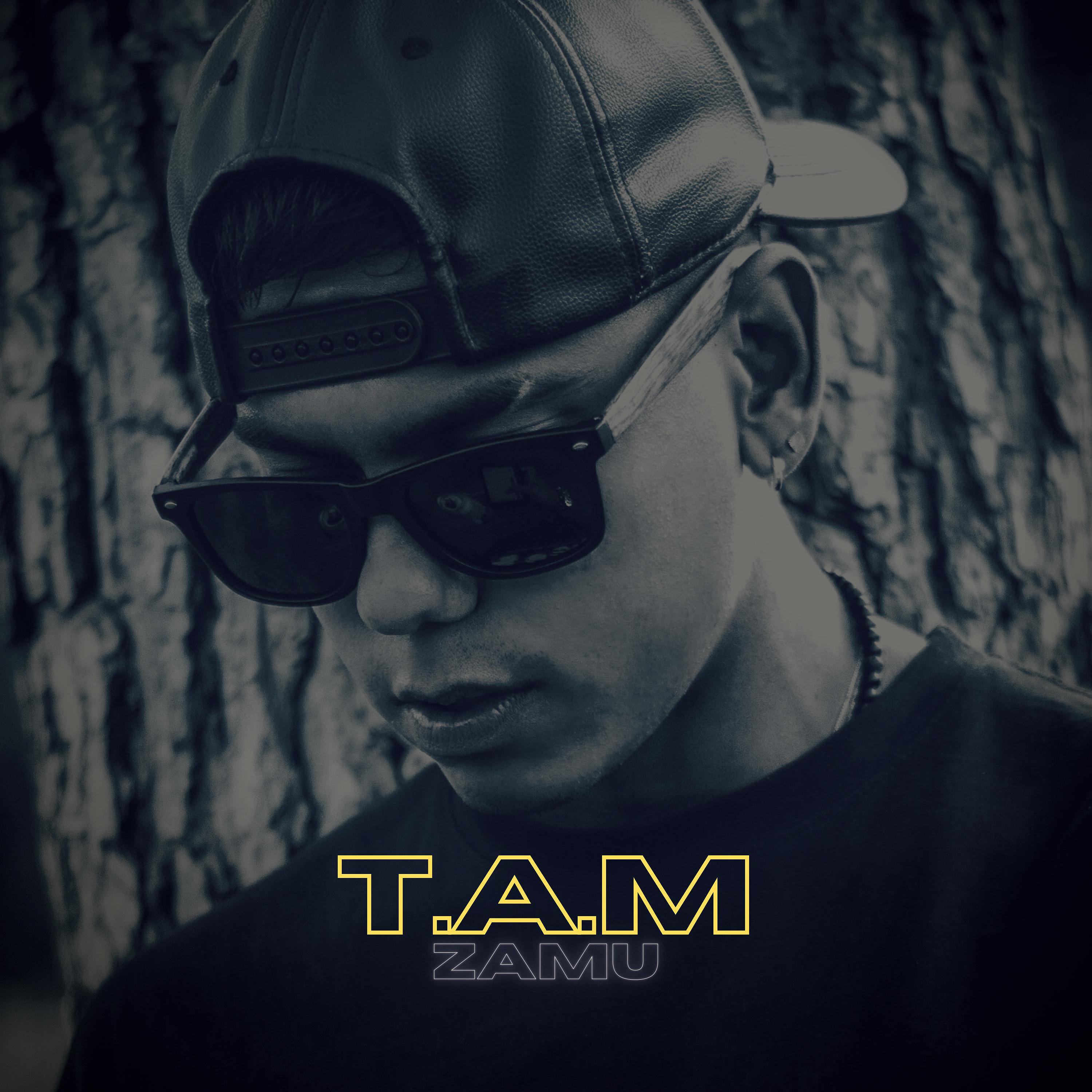 Постер альбома T.A.M