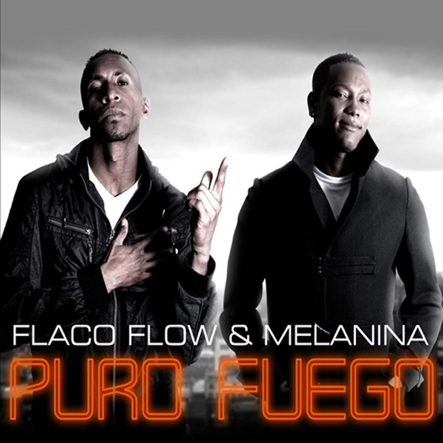 Постер альбома Puro Fuego