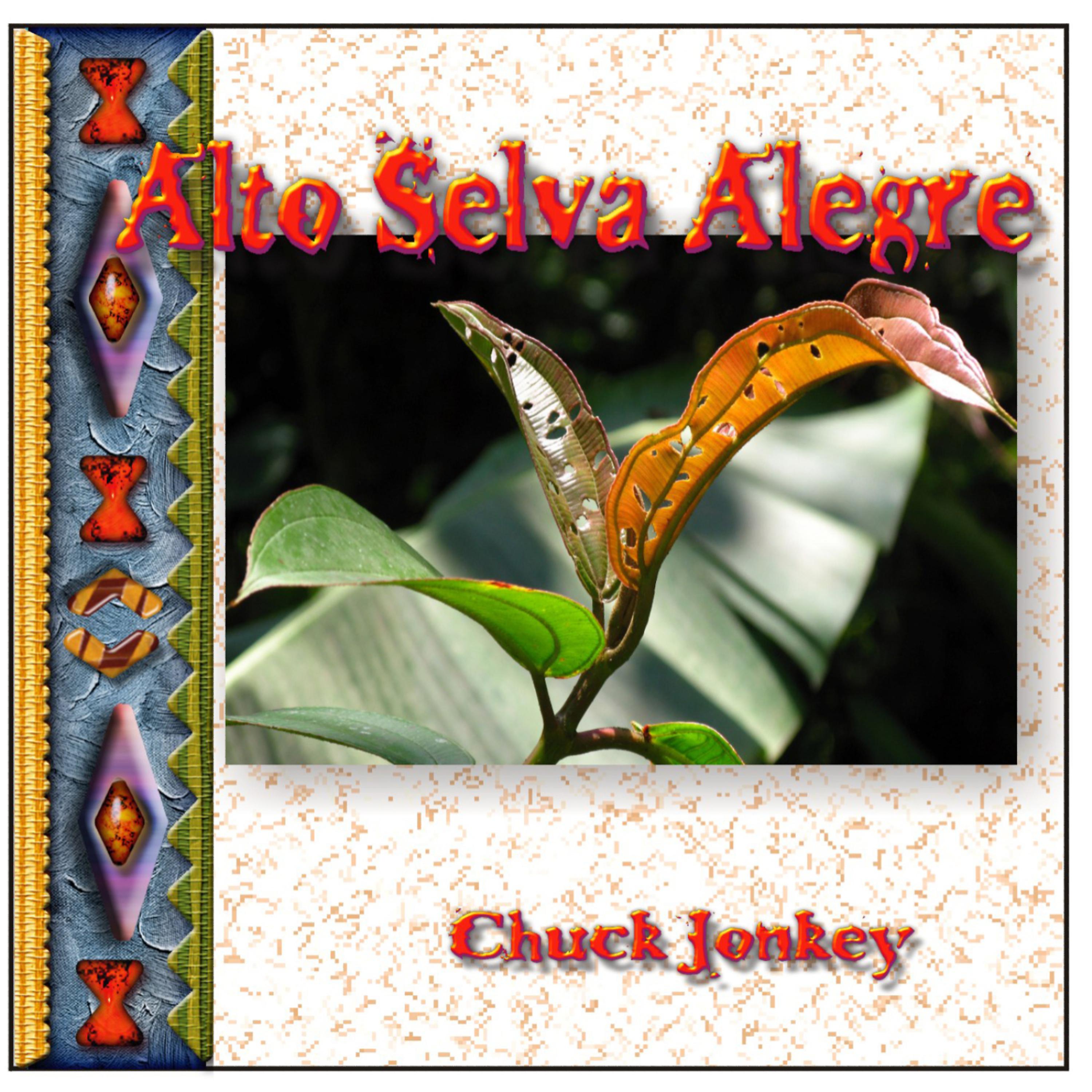 Постер альбома Alto Selva Alegre