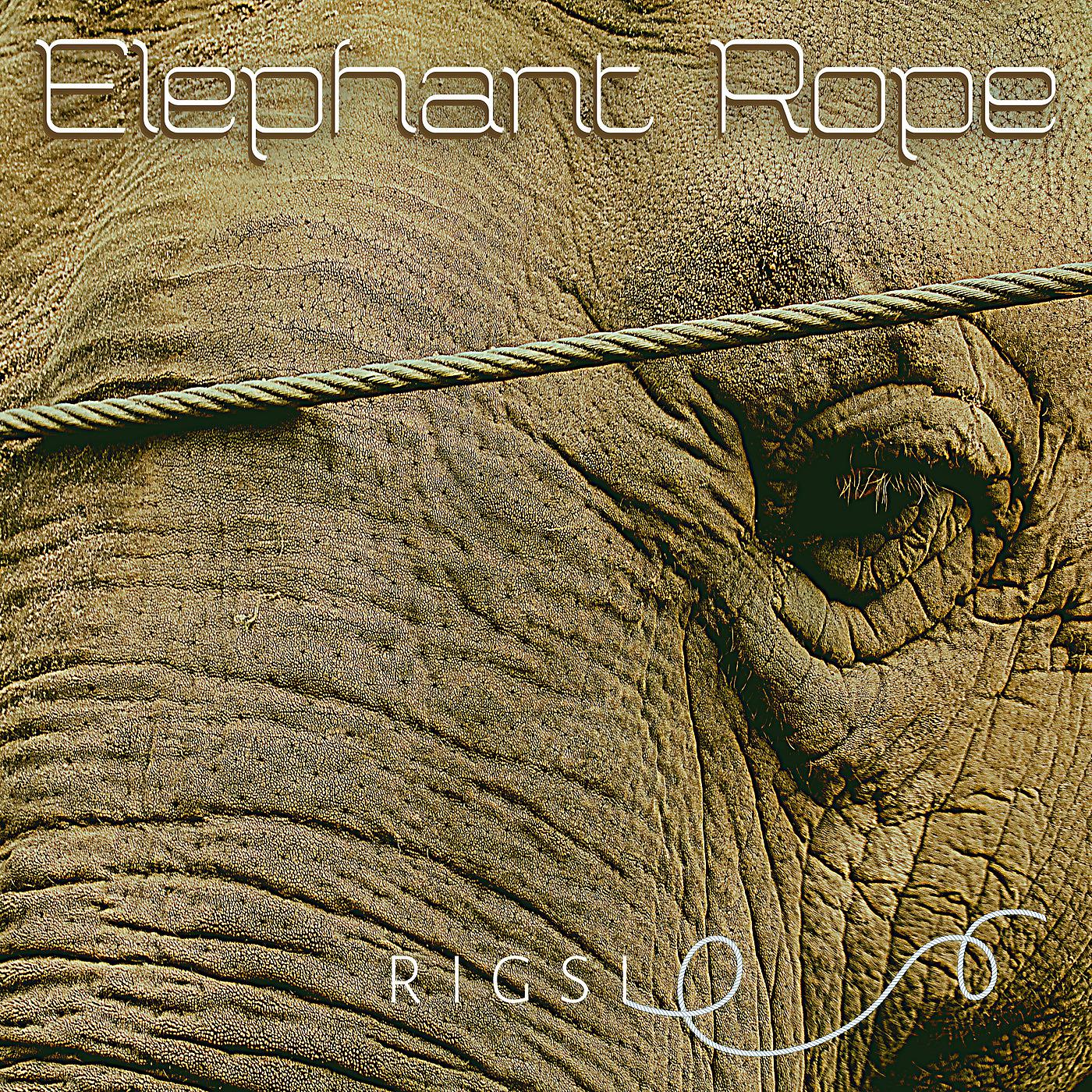 Постер альбома Elephant Rope