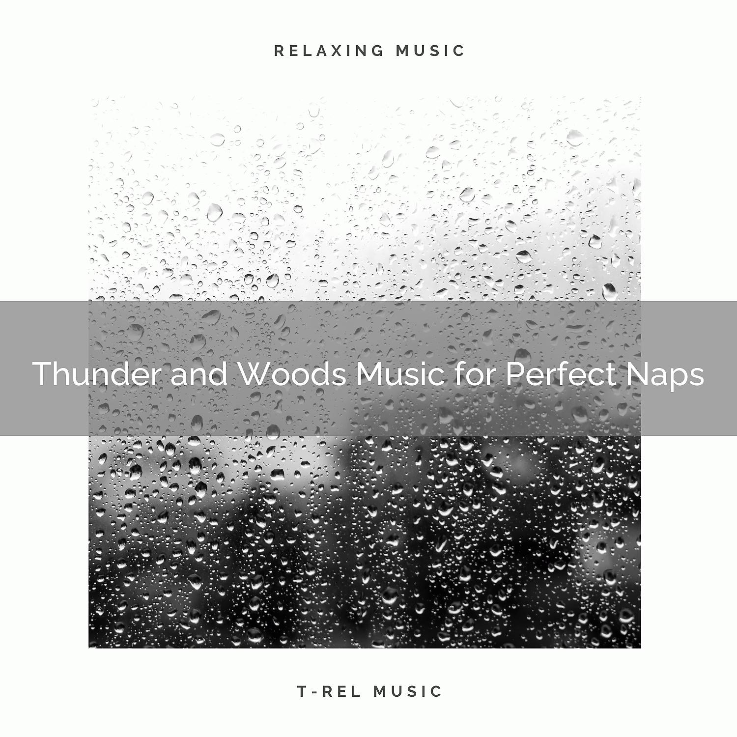 Постер альбома Thunder and Woods Music for Perfect Naps