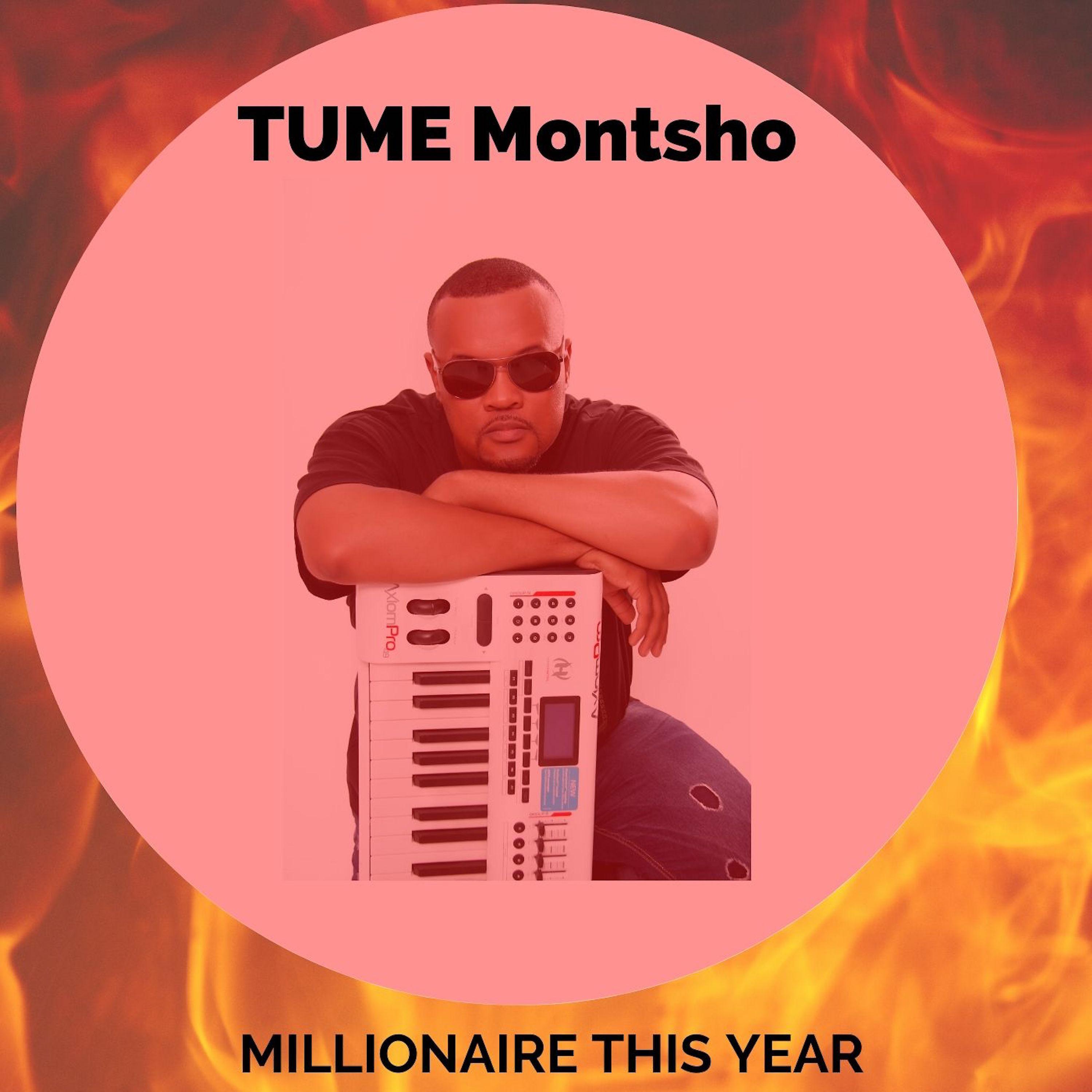 Постер альбома Millionaire This Year