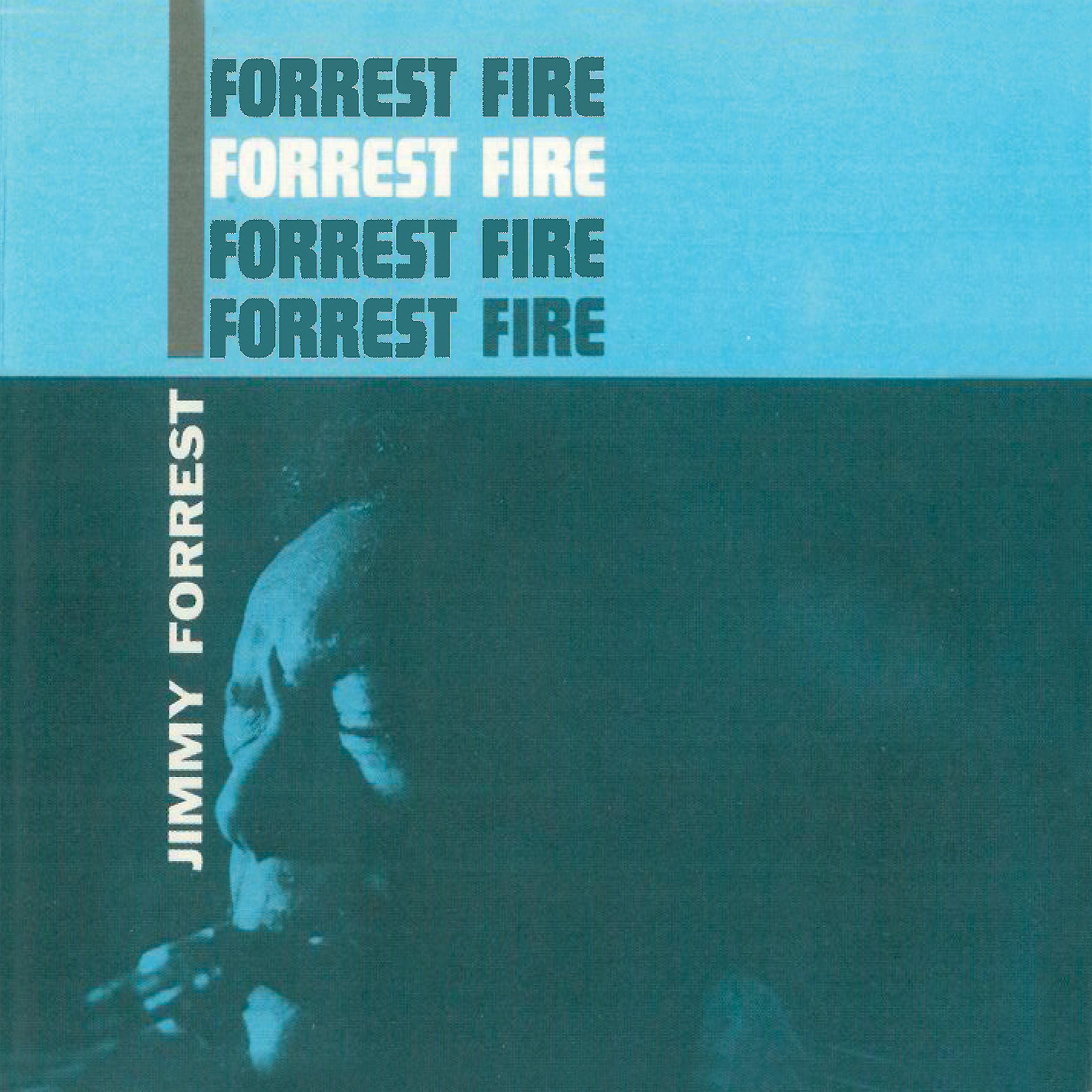 Постер альбома Forrest Fire (Remastered)