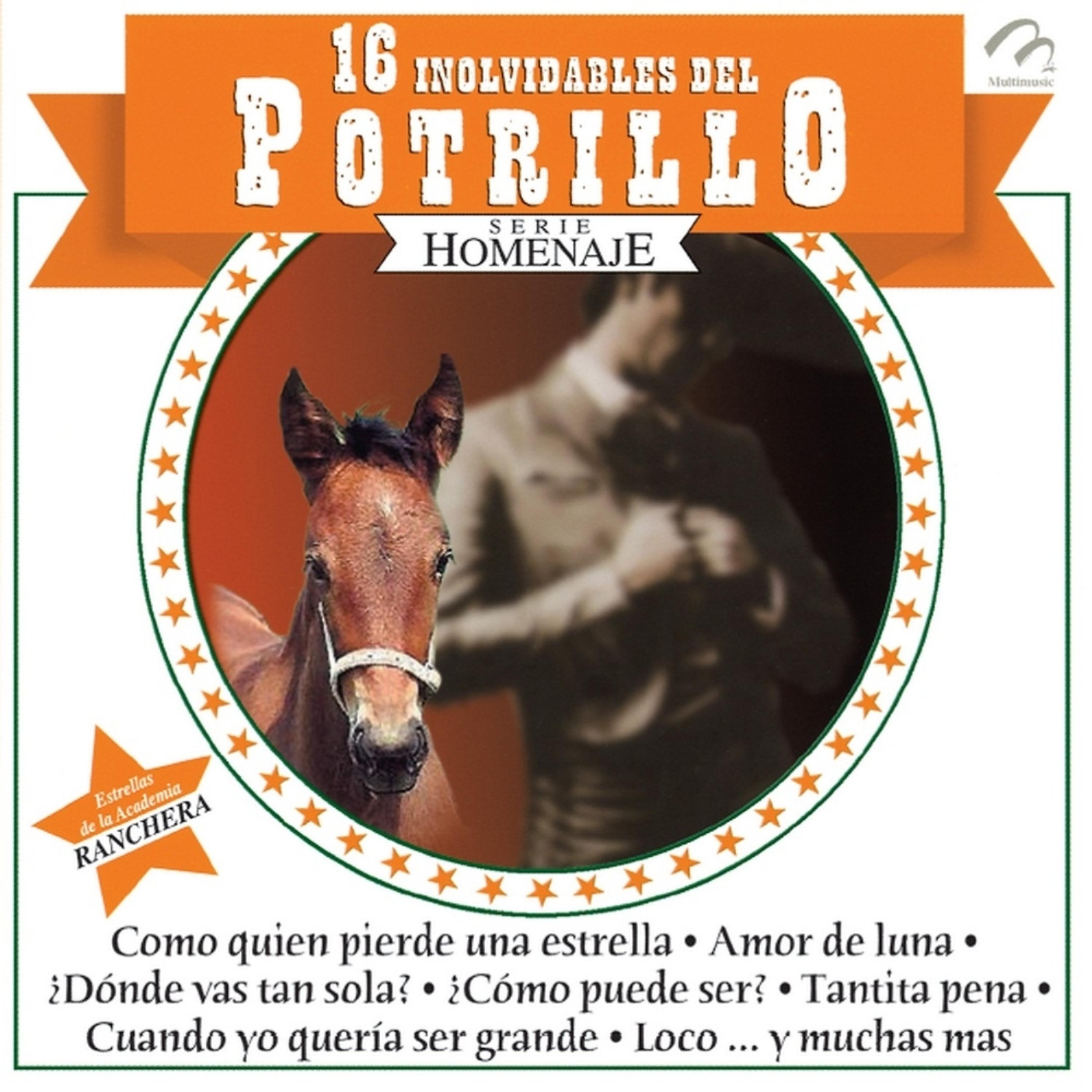 Постер альбома 16 Inolvidables Del Potrillo