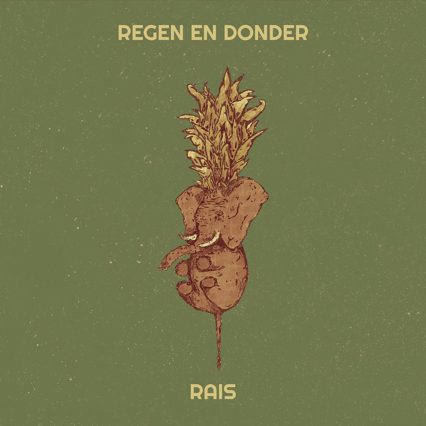 Постер альбома Regen En Donder