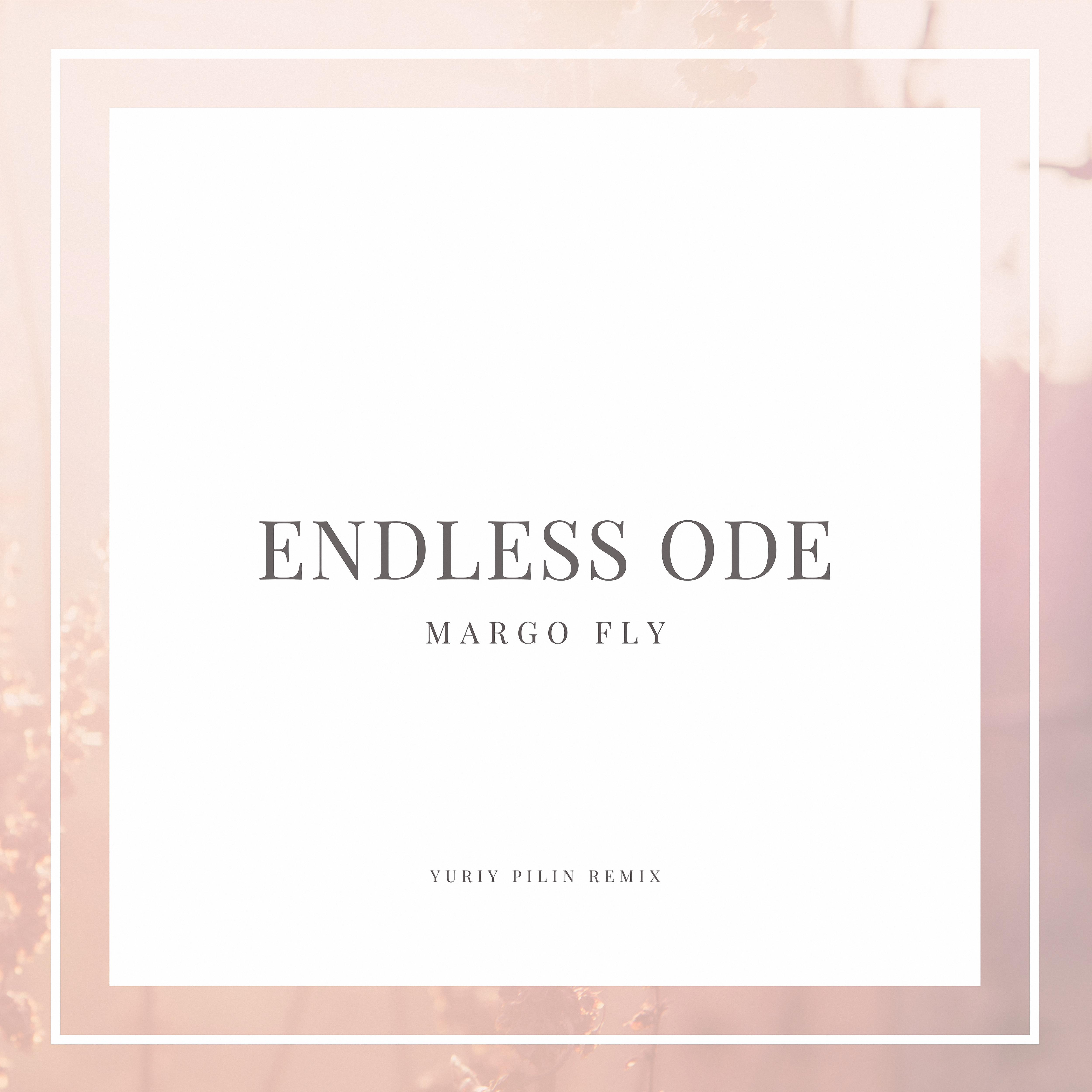 Постер альбома Endless Ode