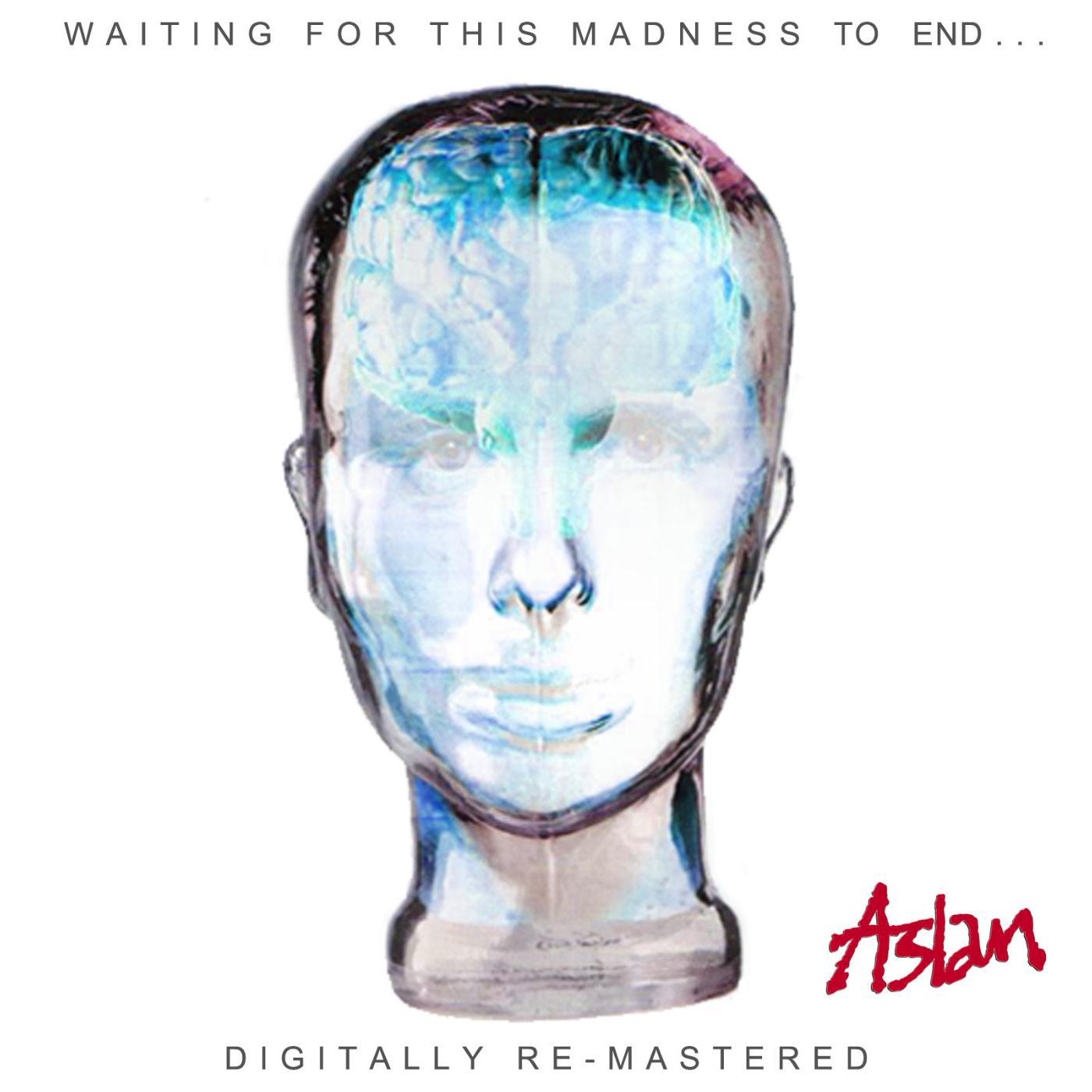 Постер альбома Waiting for This Madness to End (Digitally Remastered)