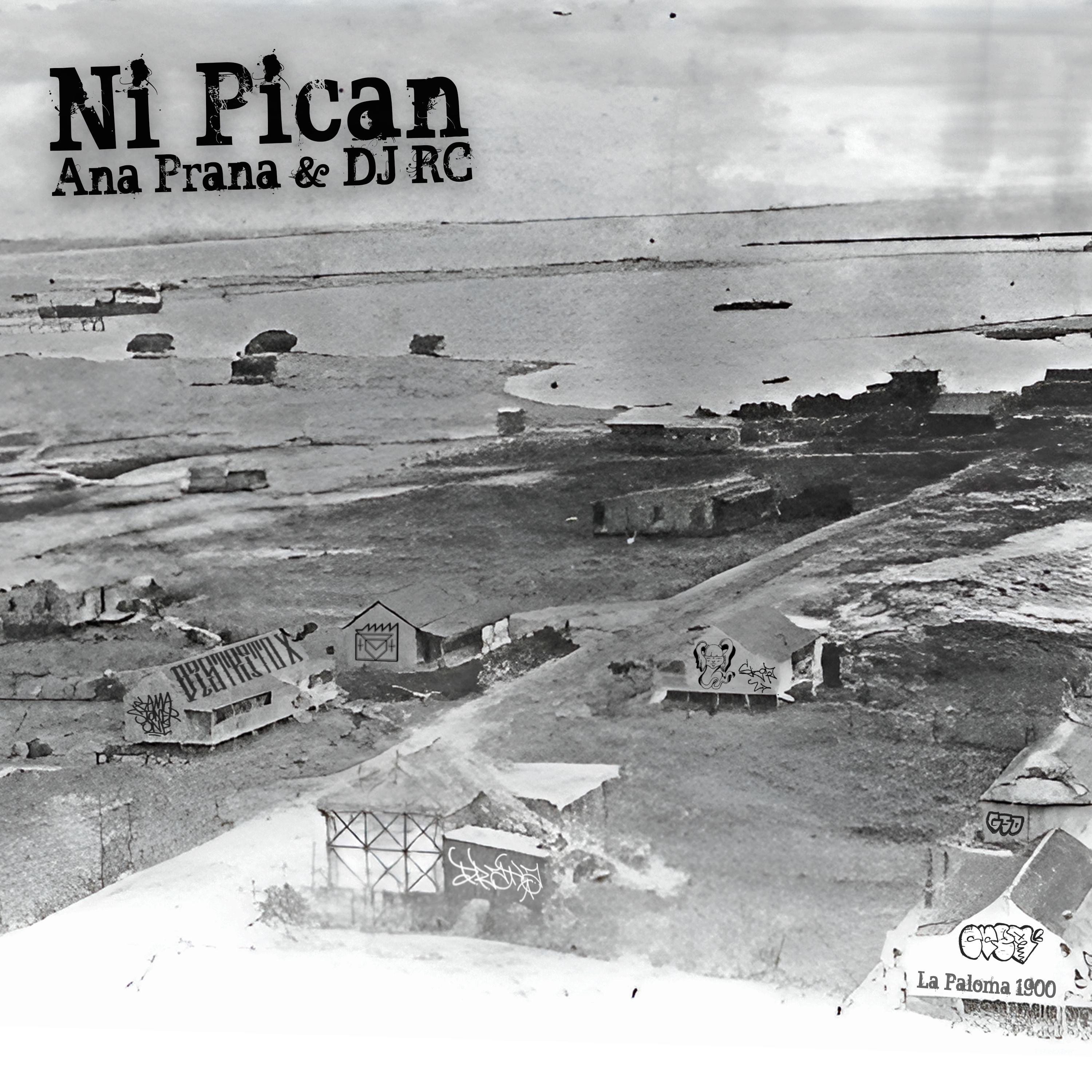Постер альбома Ni Pican