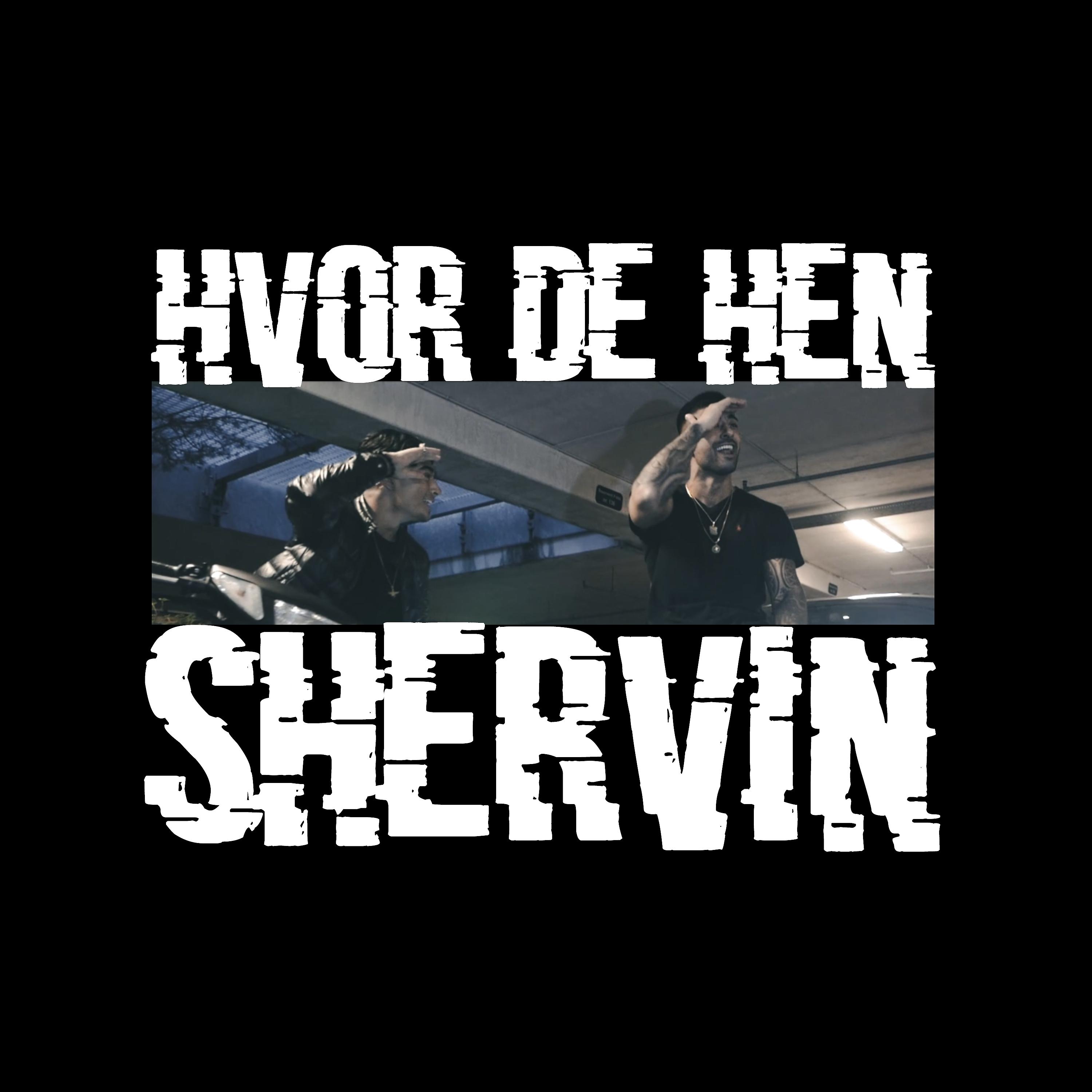Постер альбома Hvor De Hen