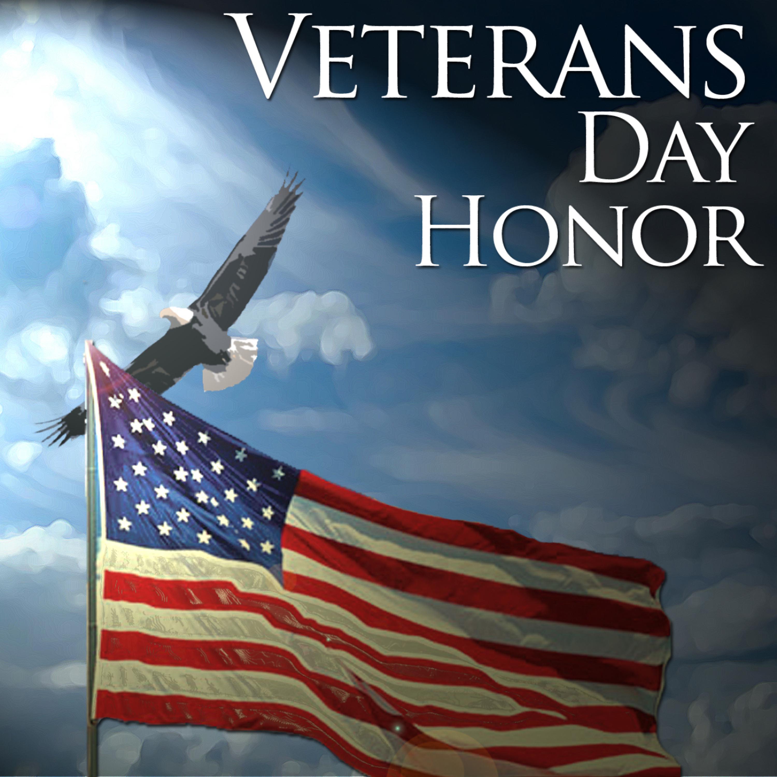Постер альбома Veterans Day Honor