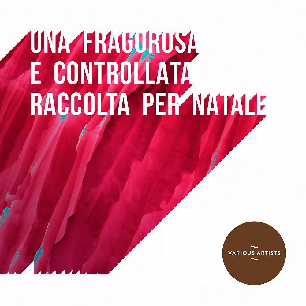Постер альбома Una Fragorosa E Controllata Raccolta Per Natale