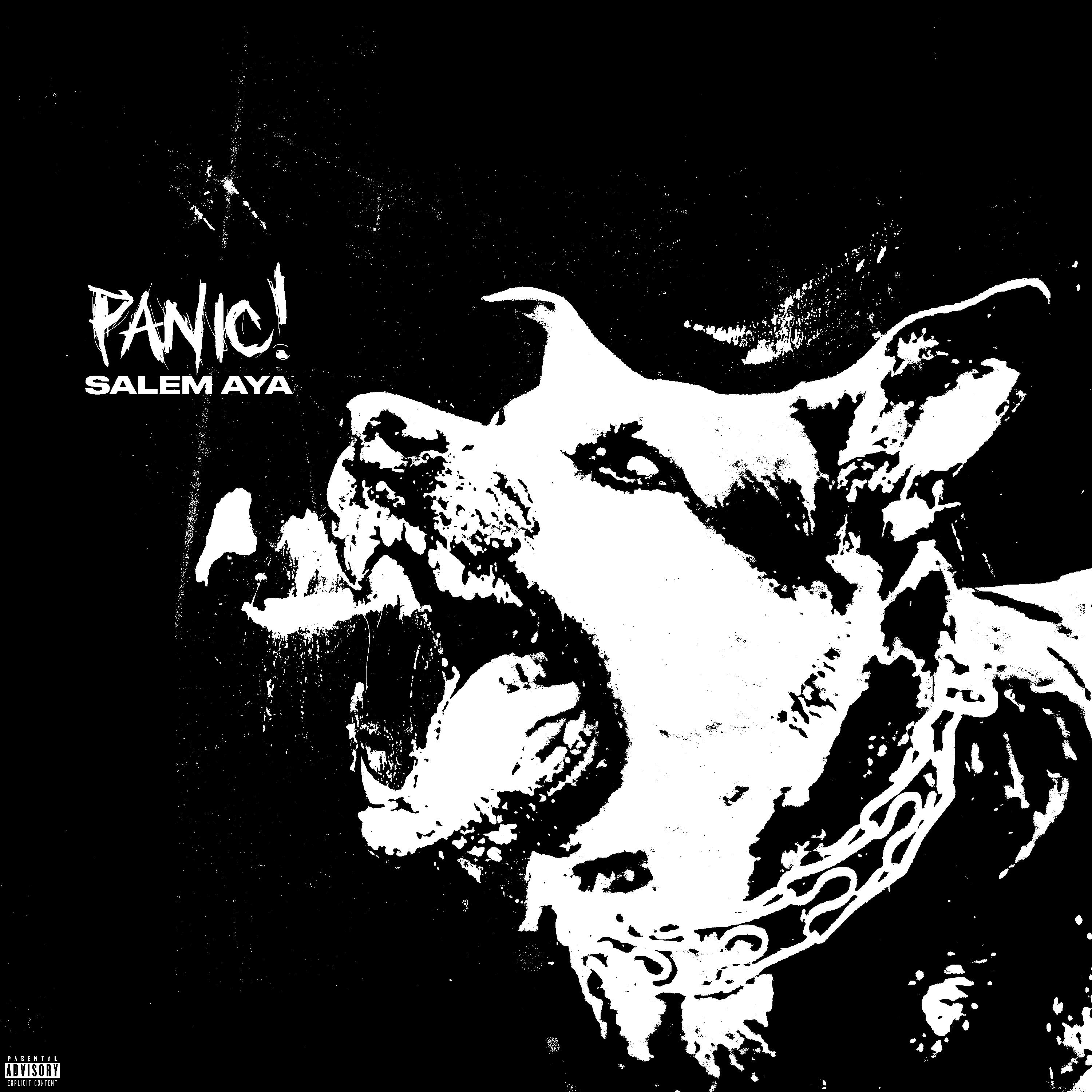 Постер альбома Panic!