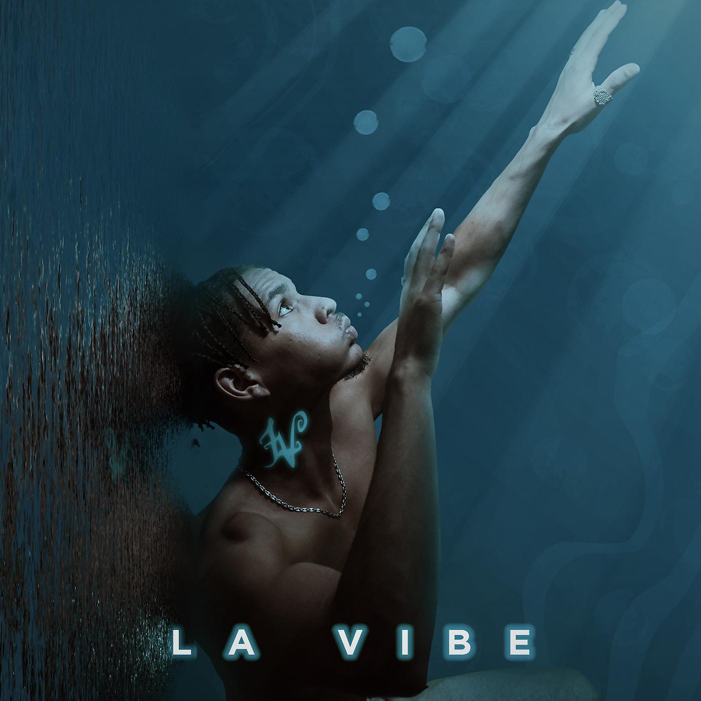 Постер альбома La Vibe