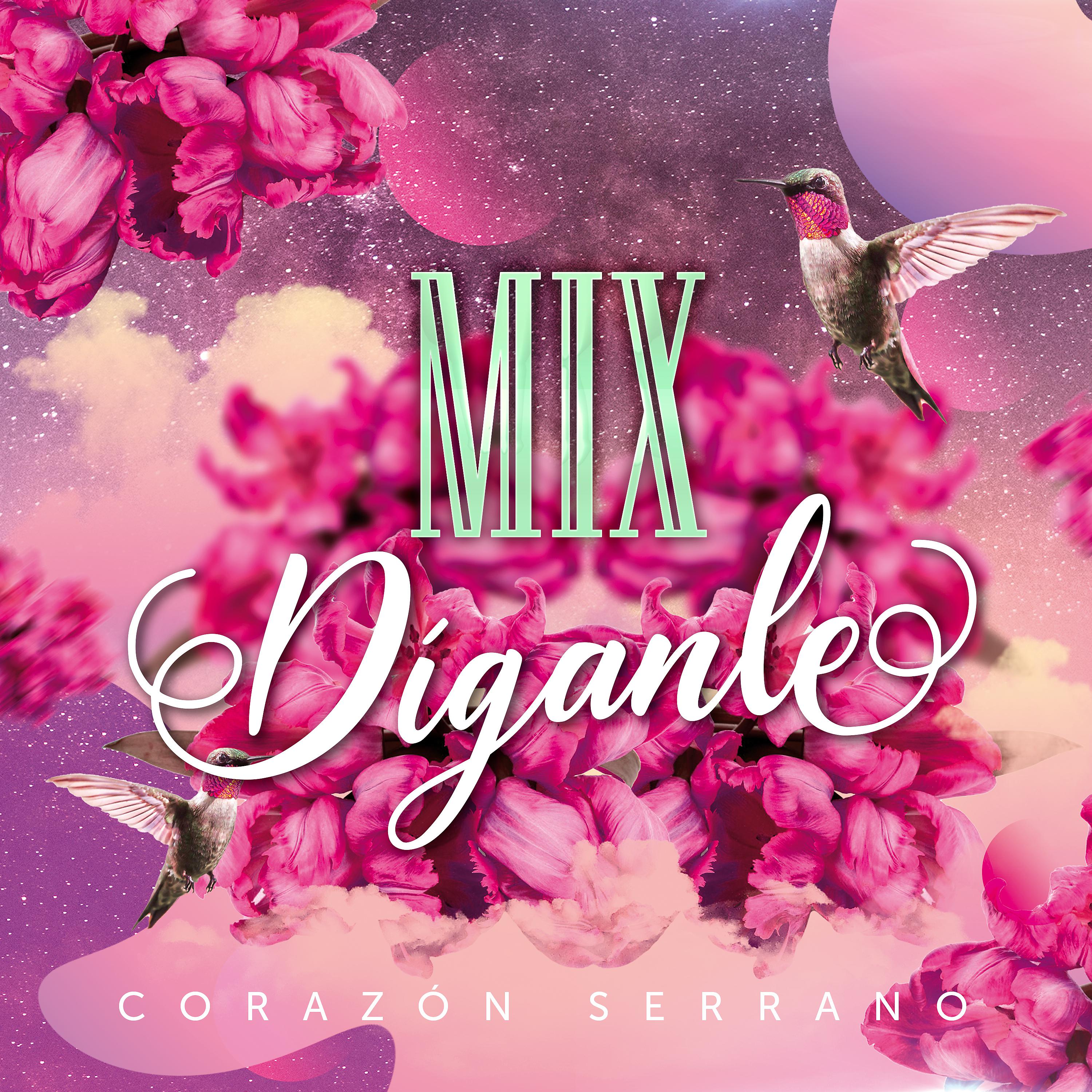 Постер альбома Mix Díganle (En Vivo)