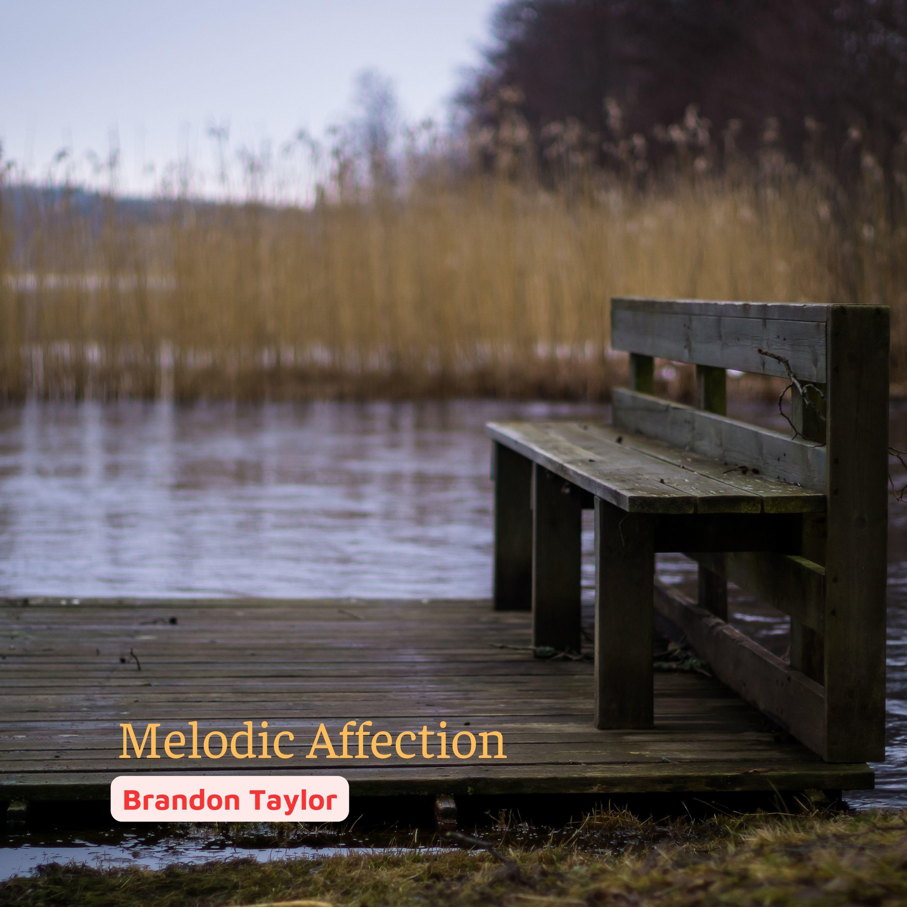 Постер альбома Melodic Affection
